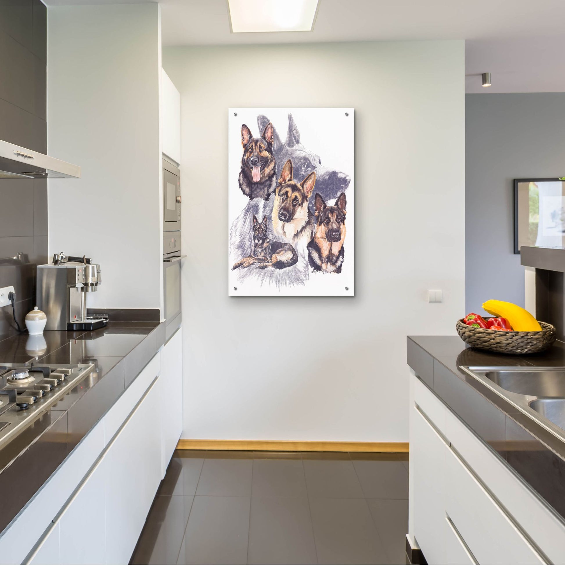 Epic Art 'German Shepard' by Barbara Keith, Acrylic Glass Wall Art,24x36