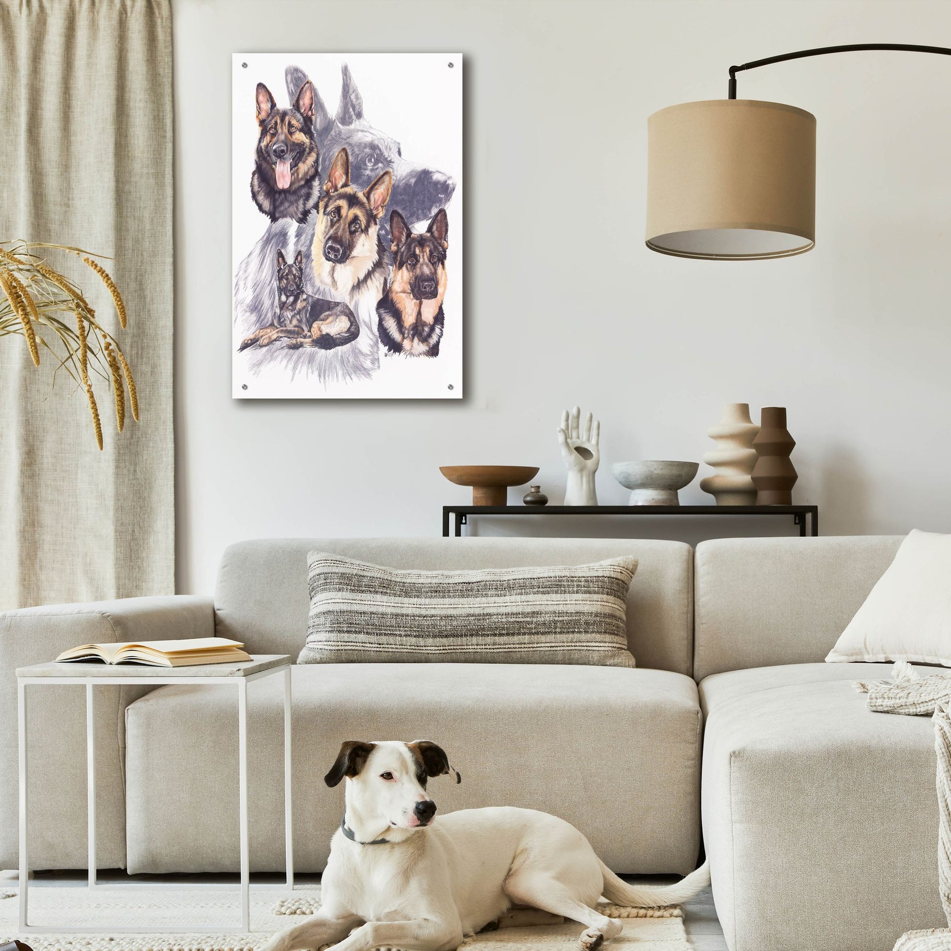 Epic Art 'German Shepard' by Barbara Keith, Acrylic Glass Wall Art,24x36