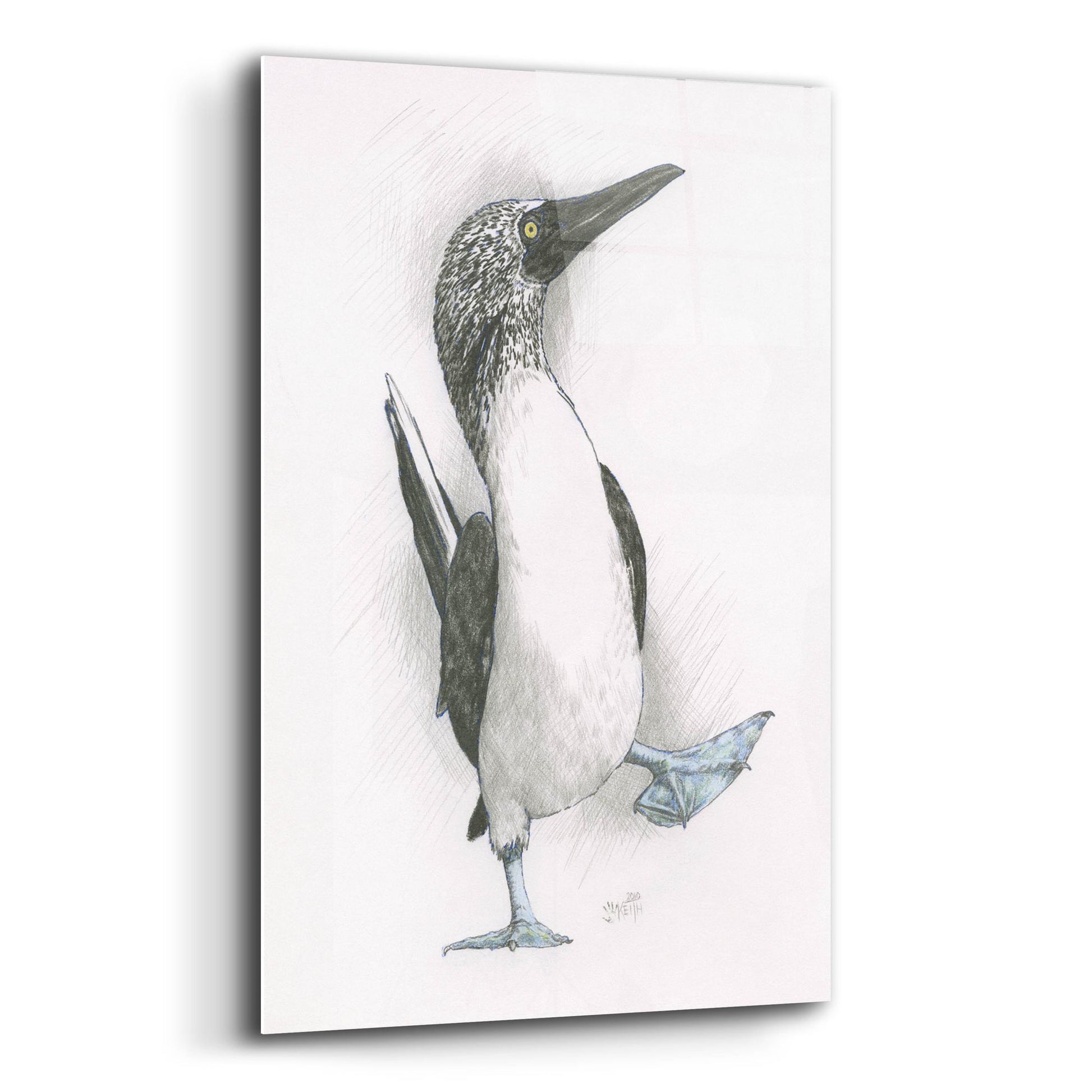 Epic Art 'Happy Feet' by Barbara Keith, Acrylic Glass Wall Art,12x16