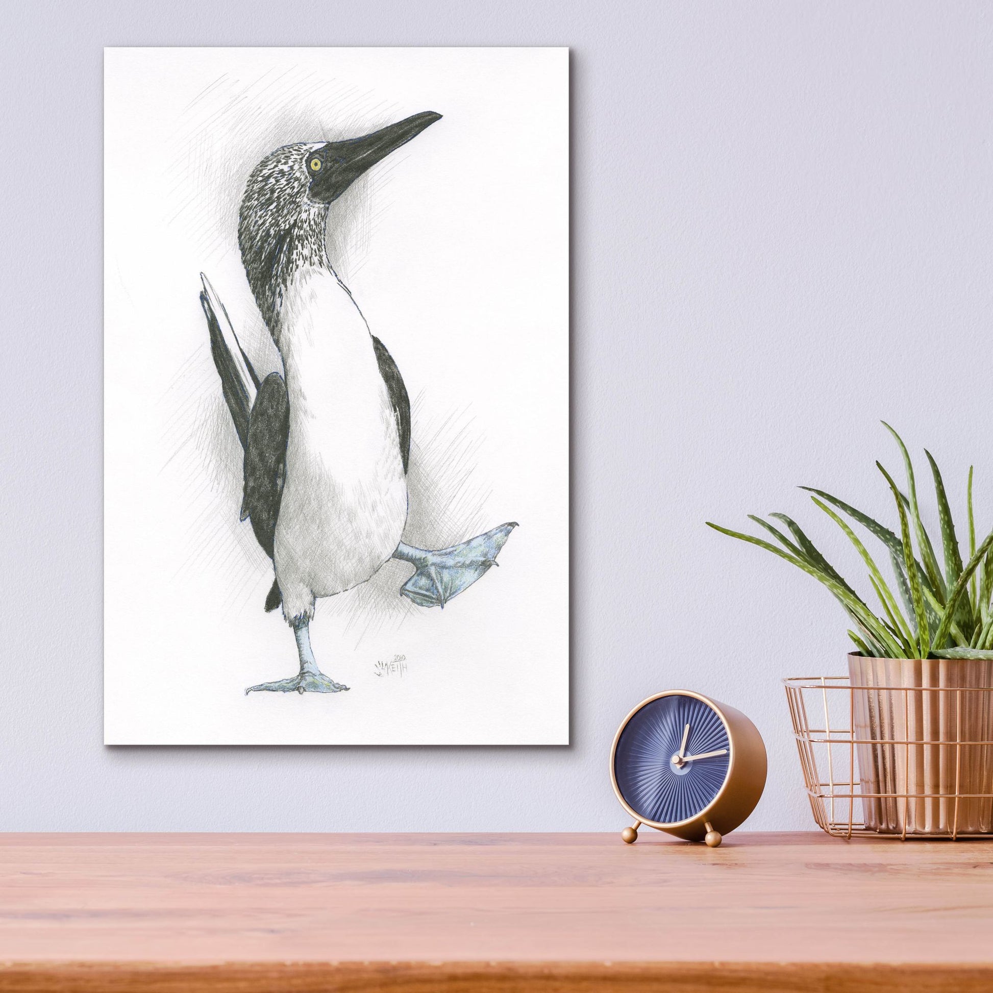 Epic Art 'Happy Feet' by Barbara Keith, Acrylic Glass Wall Art,12x16