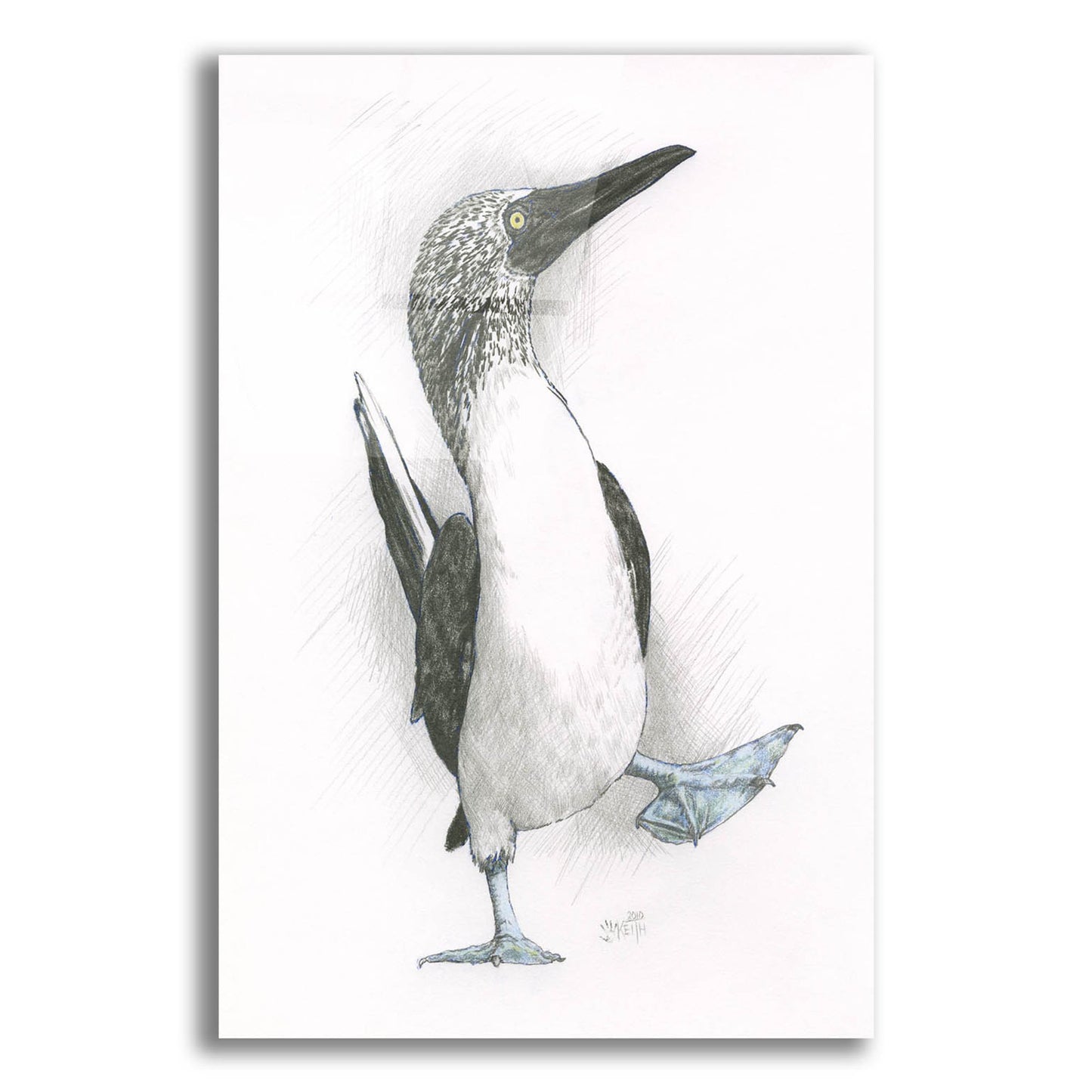 Epic Art 'Happy Feet' by Barbara Keith, Acrylic Glass Wall Art