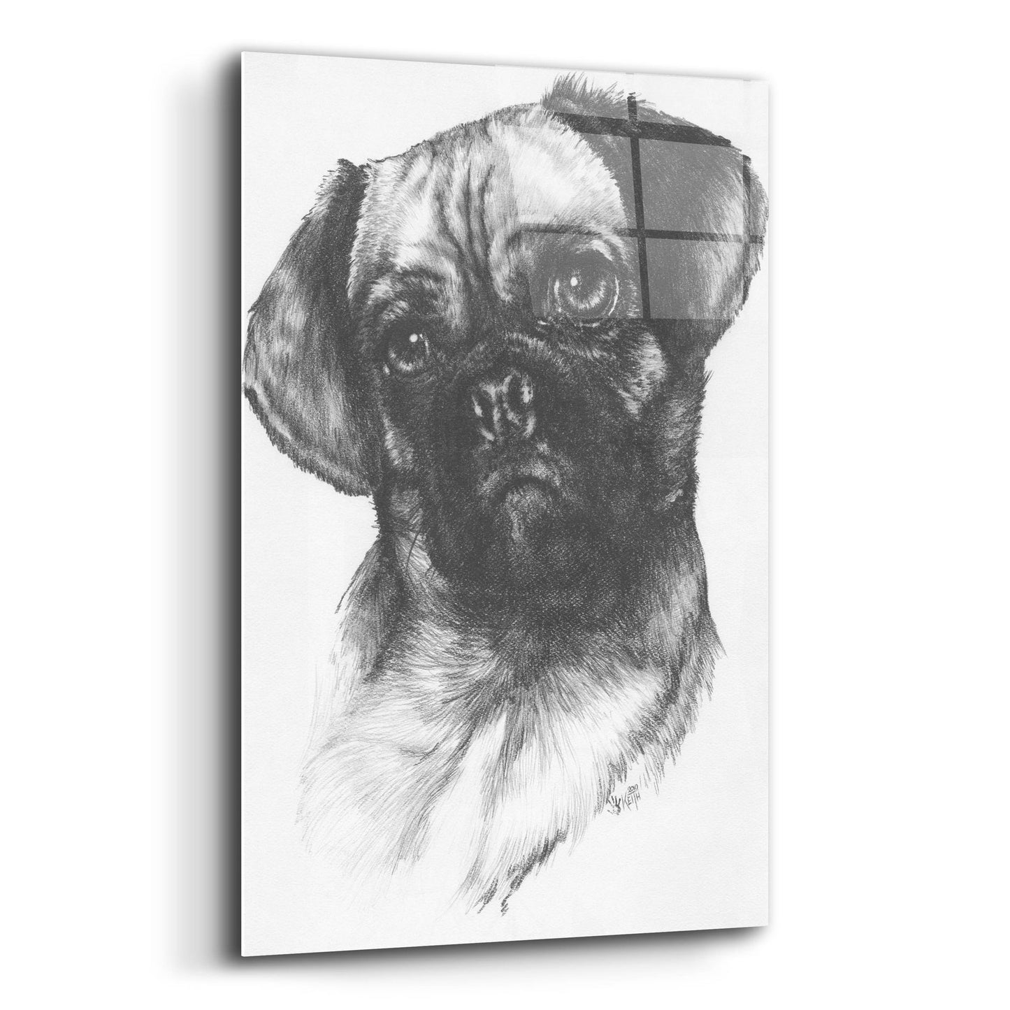 Epic Art 'Puggle' by Barbara Keith, Acrylic Glass Wall Art,12x16