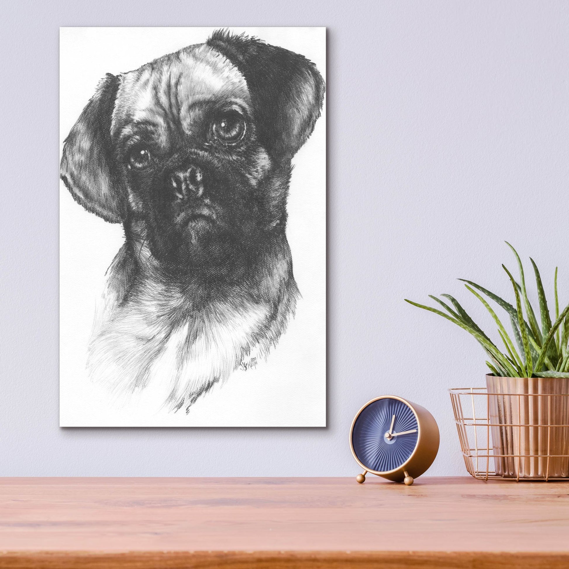 Epic Art 'Puggle' by Barbara Keith, Acrylic Glass Wall Art,12x16