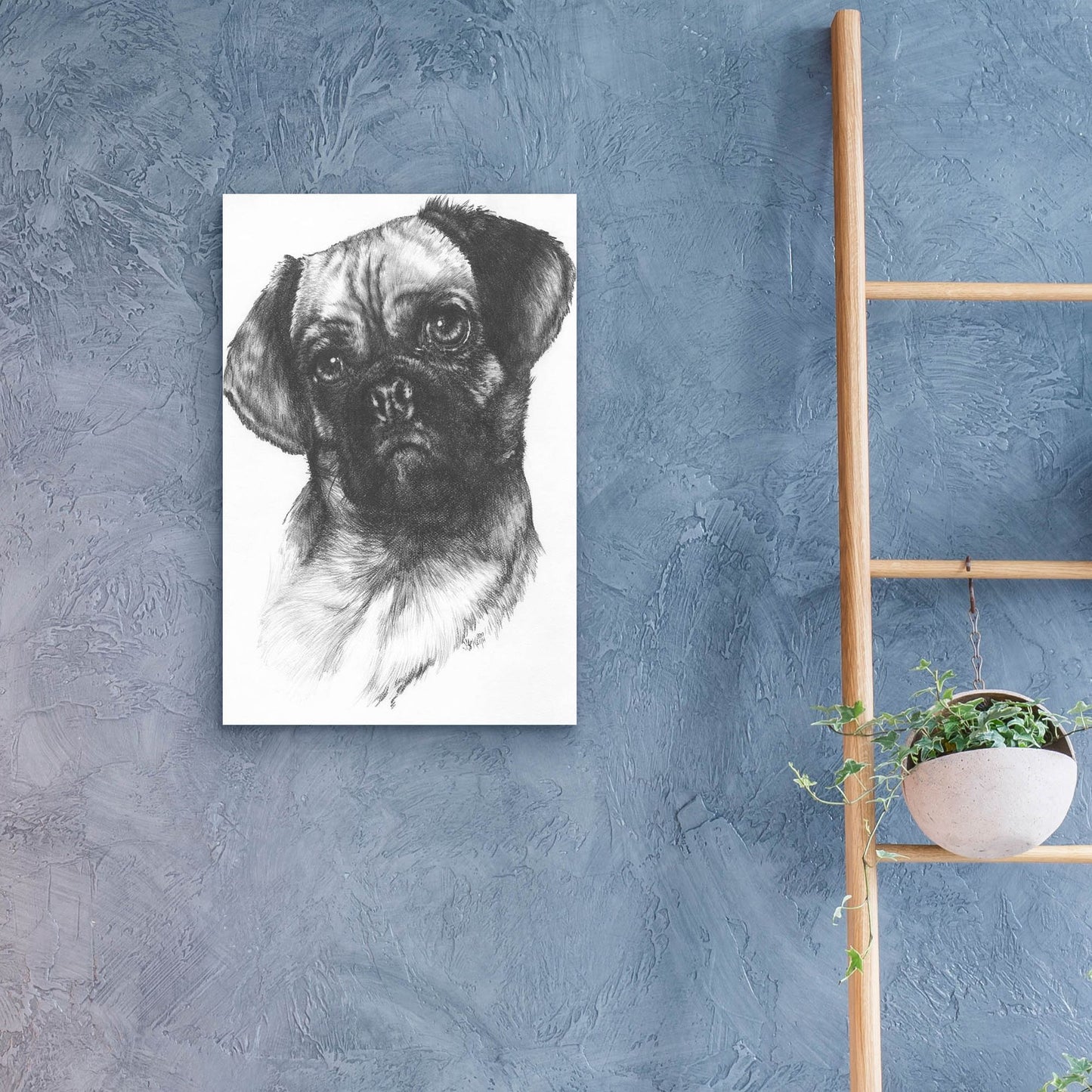 Epic Art 'Puggle' by Barbara Keith, Acrylic Glass Wall Art,16x24