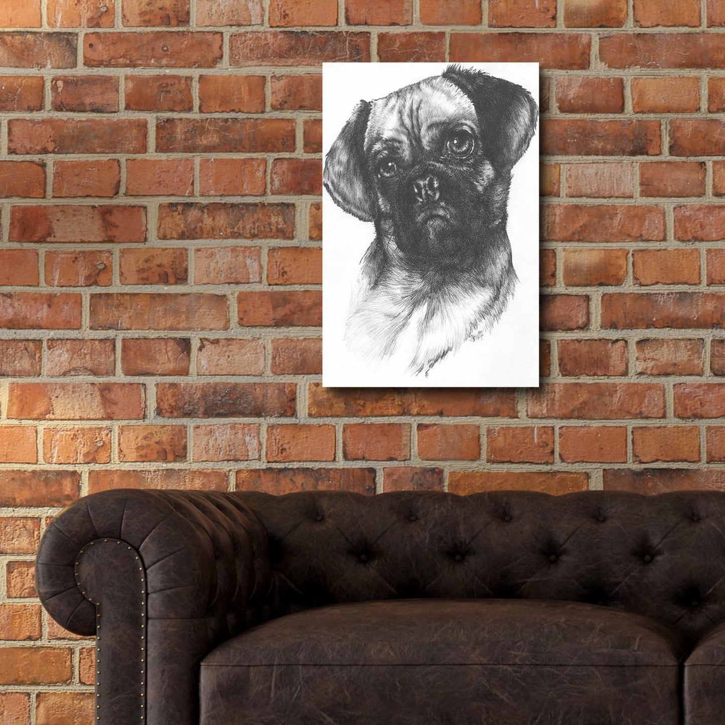 Epic Art 'Puggle' by Barbara Keith, Acrylic Glass Wall Art,16x24