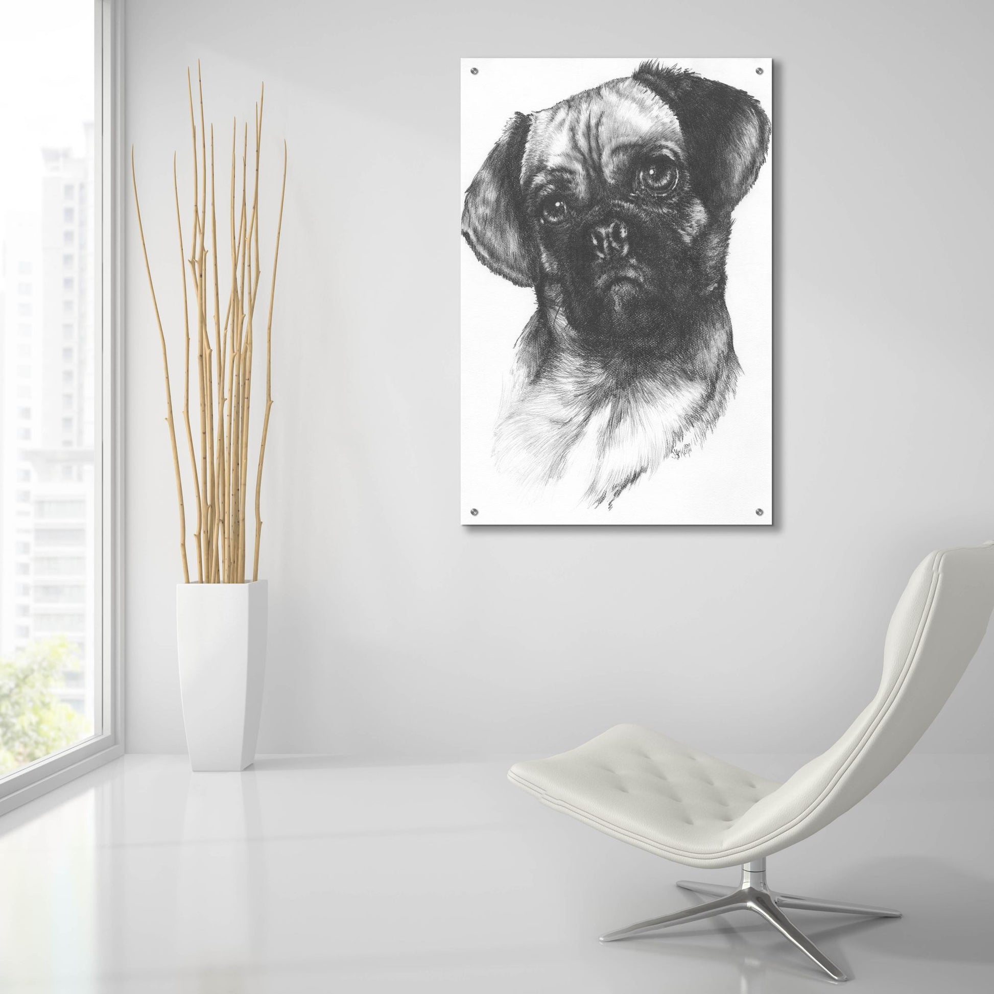 Epic Art 'Puggle' by Barbara Keith, Acrylic Glass Wall Art,24x36