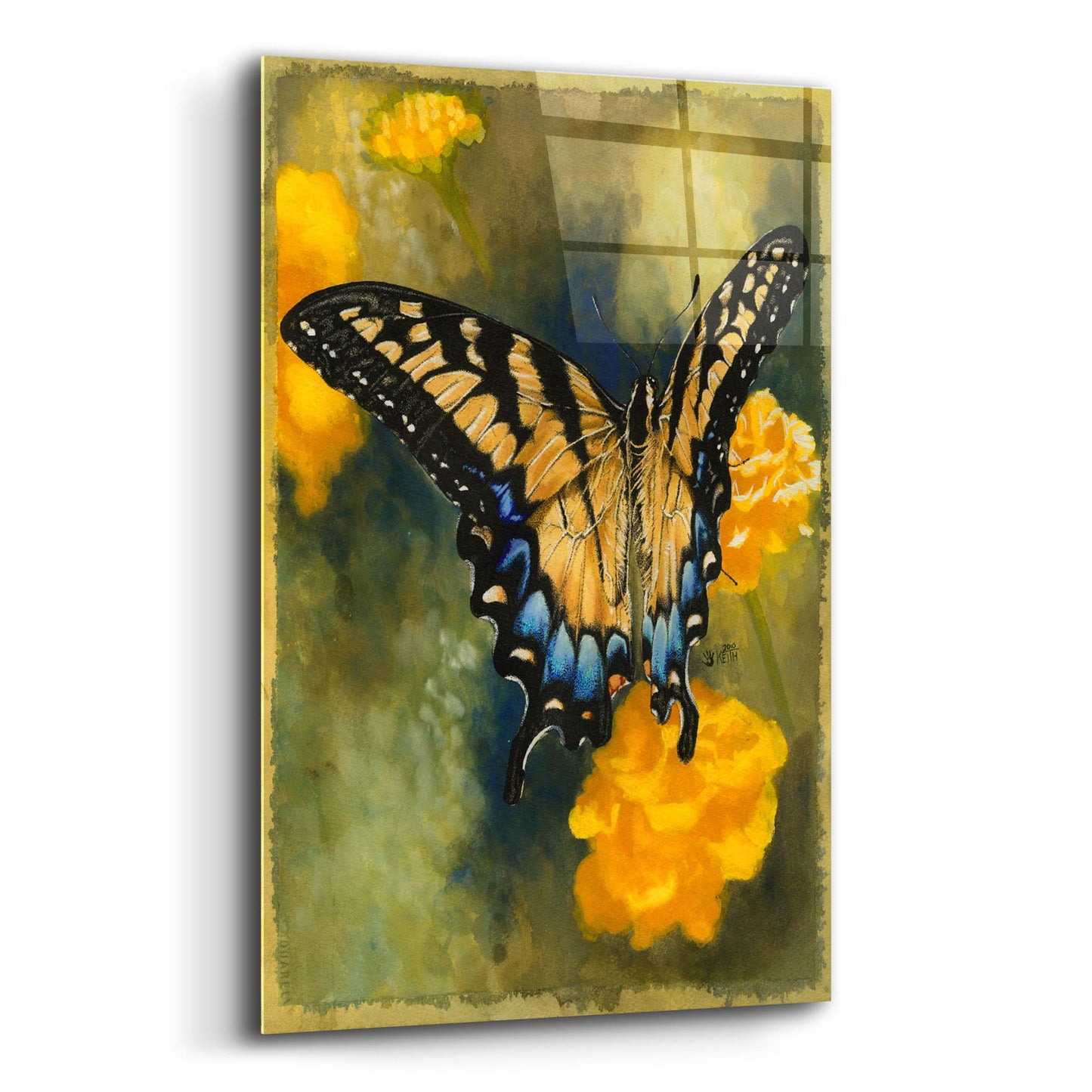 Epic Art 'Delicate Belle' by Barbara Keith, Acrylic Glass Wall Art,12x16