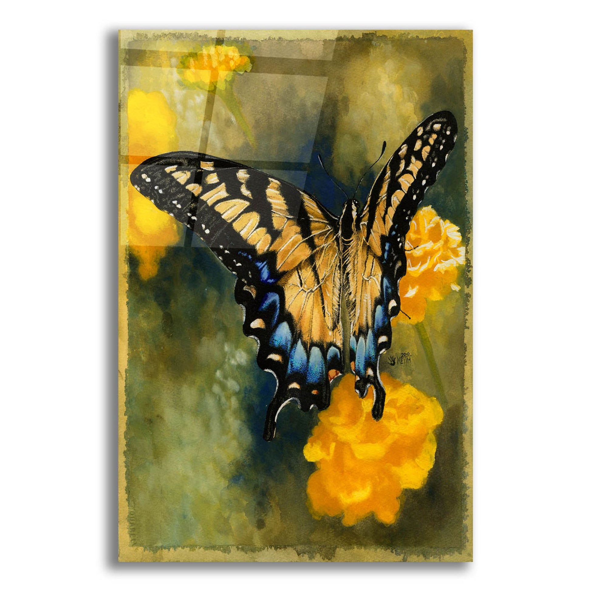 Epic Art 'Delicate Belle' by Barbara Keith, Acrylic Glass Wall Art,12x16