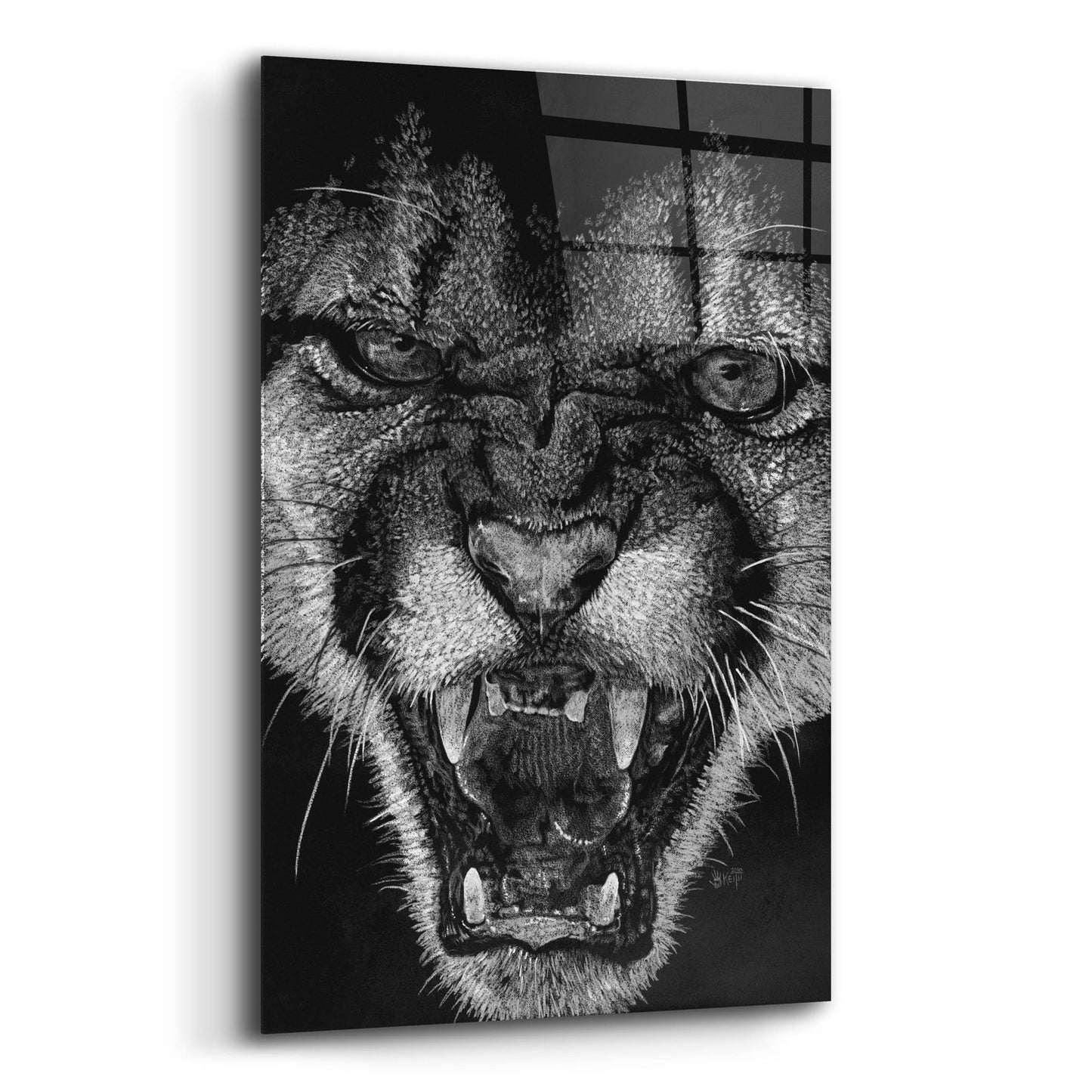 Epic Art 'Fury' by Barbara Keith, Acrylic Glass Wall Art,12x16