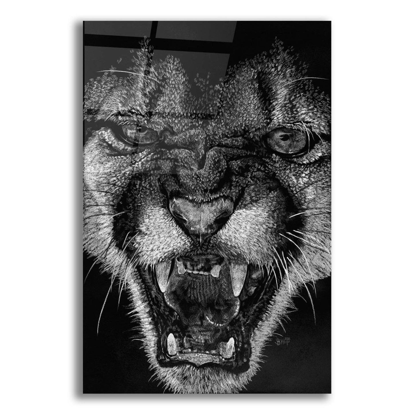 Epic Art 'Fury' by Barbara Keith, Acrylic Glass Wall Art,12x16