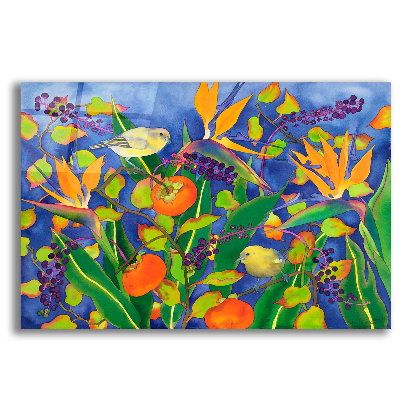 Epic Art 'Amakihi Delight' by Carissa Luminess, Acrylic Glass Wall Art,16x12