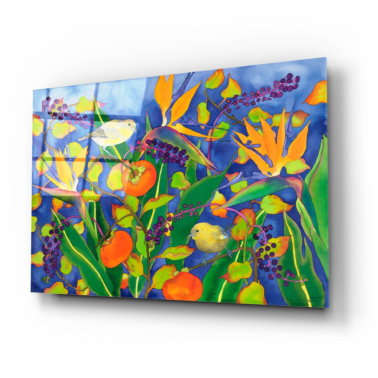 Epic Art 'Amakihi Delight' by Carissa Luminess, Acrylic Glass Wall Art,24x16