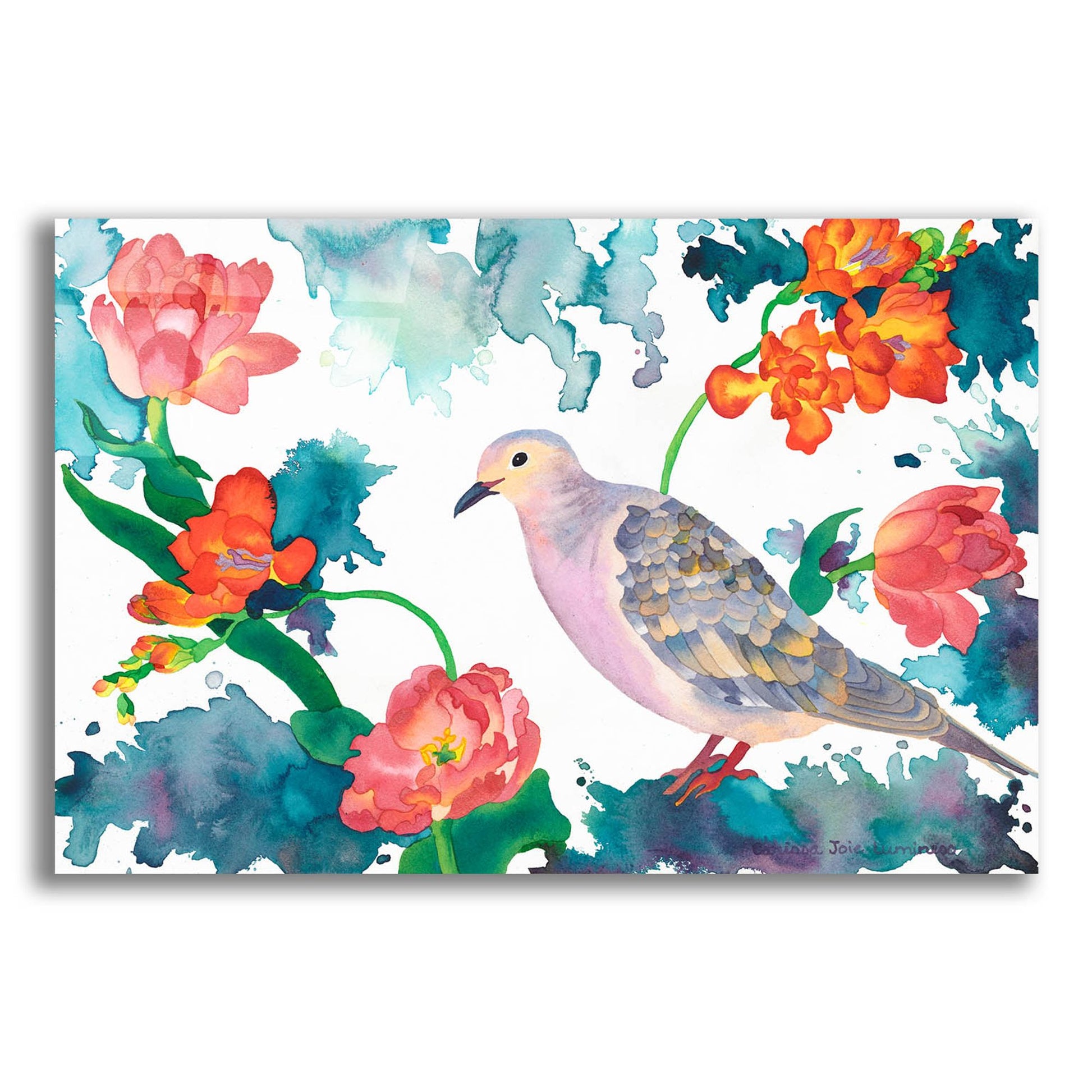 Epic Art 'Peace Dove' by Carissa Luminess, Acrylic Glass Wall Art,16x12