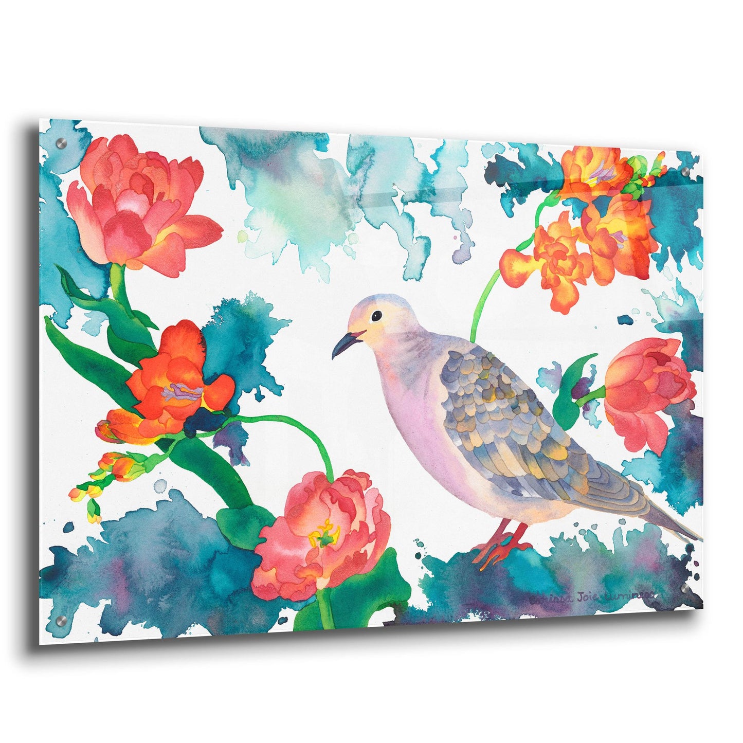 Epic Art 'Peace Dove' by Carissa Luminess, Acrylic Glass Wall Art,36x24