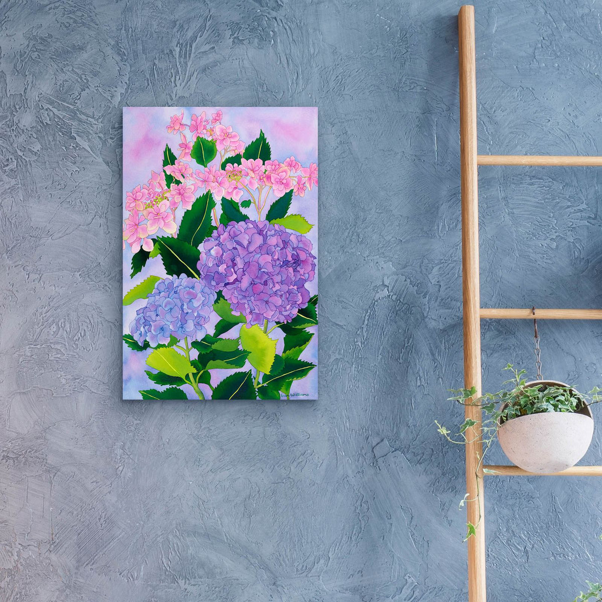 Hydrangea Wonder by Carissa Luminess - 16x24 acrylic wall art in a room