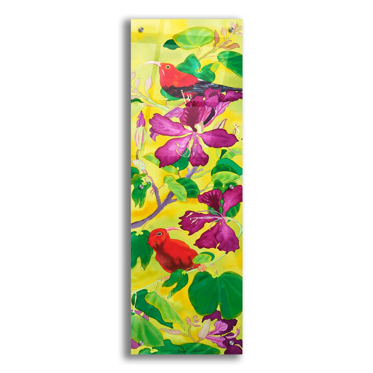 Epic Art 'Iiwis in Orchid Tree' by Carissa Luminess, Acrylic Glass Wall Art