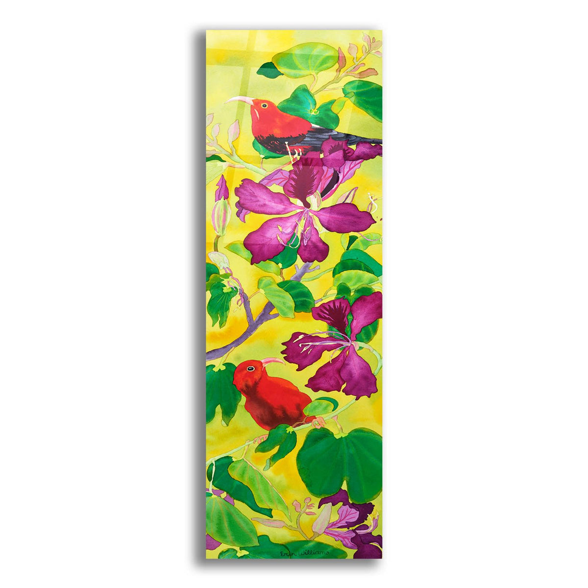 Iiwis in Orchid Tree by Carissa Luminess acrylic glass wall art