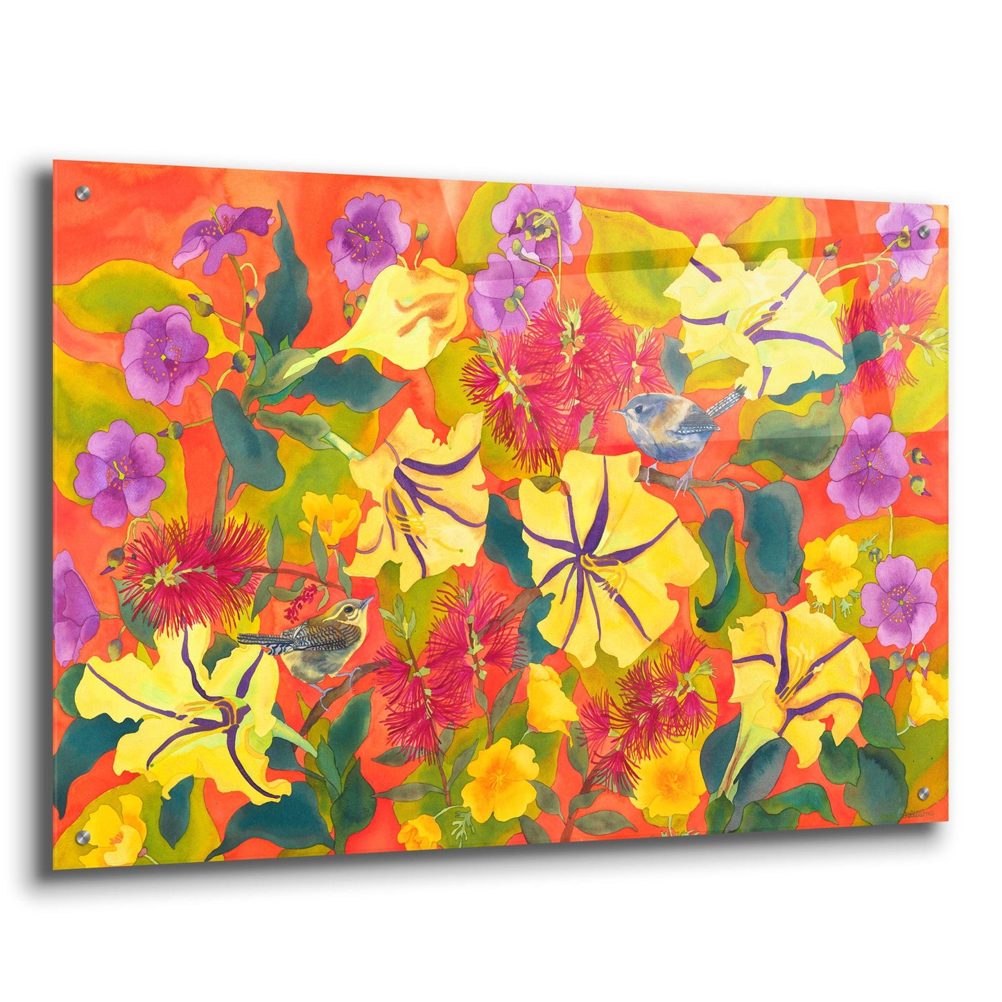 Epic Art 'Spring Joy' by Carissa Luminess, Acrylic Glass Wall Art,36x24