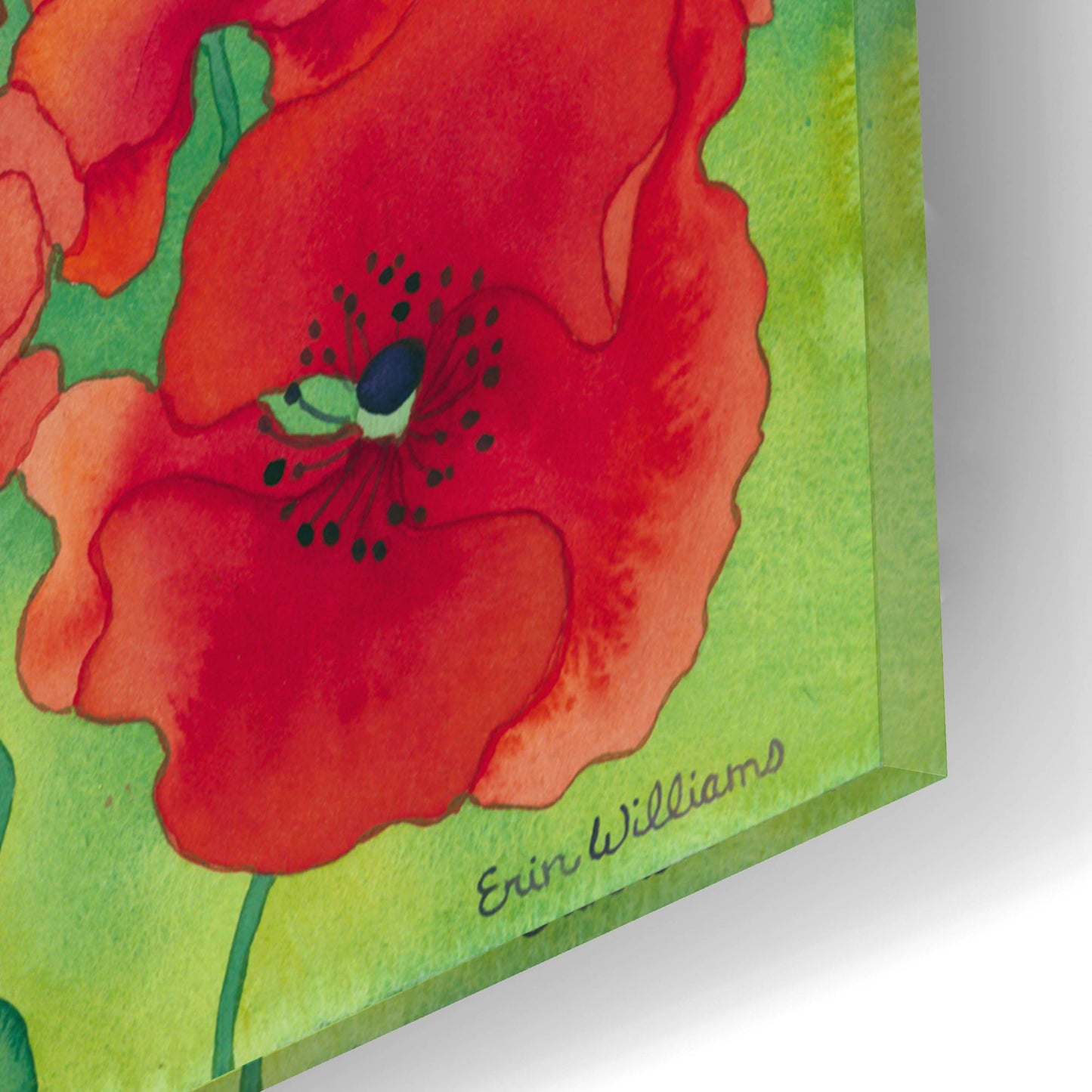 Epic Art 'Magical Poppy Field' by Carissa Luminess, Acrylic Glass Wall Art,16x12