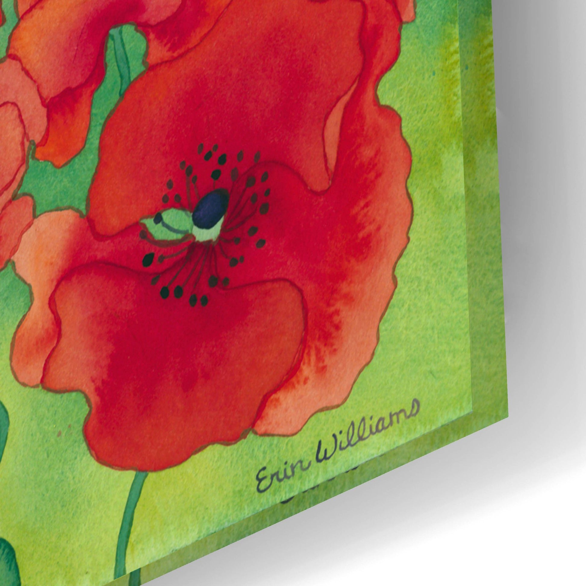 Epic Art 'Magical Poppy Field' by Carissa Luminess, Acrylic Glass Wall Art,24x16