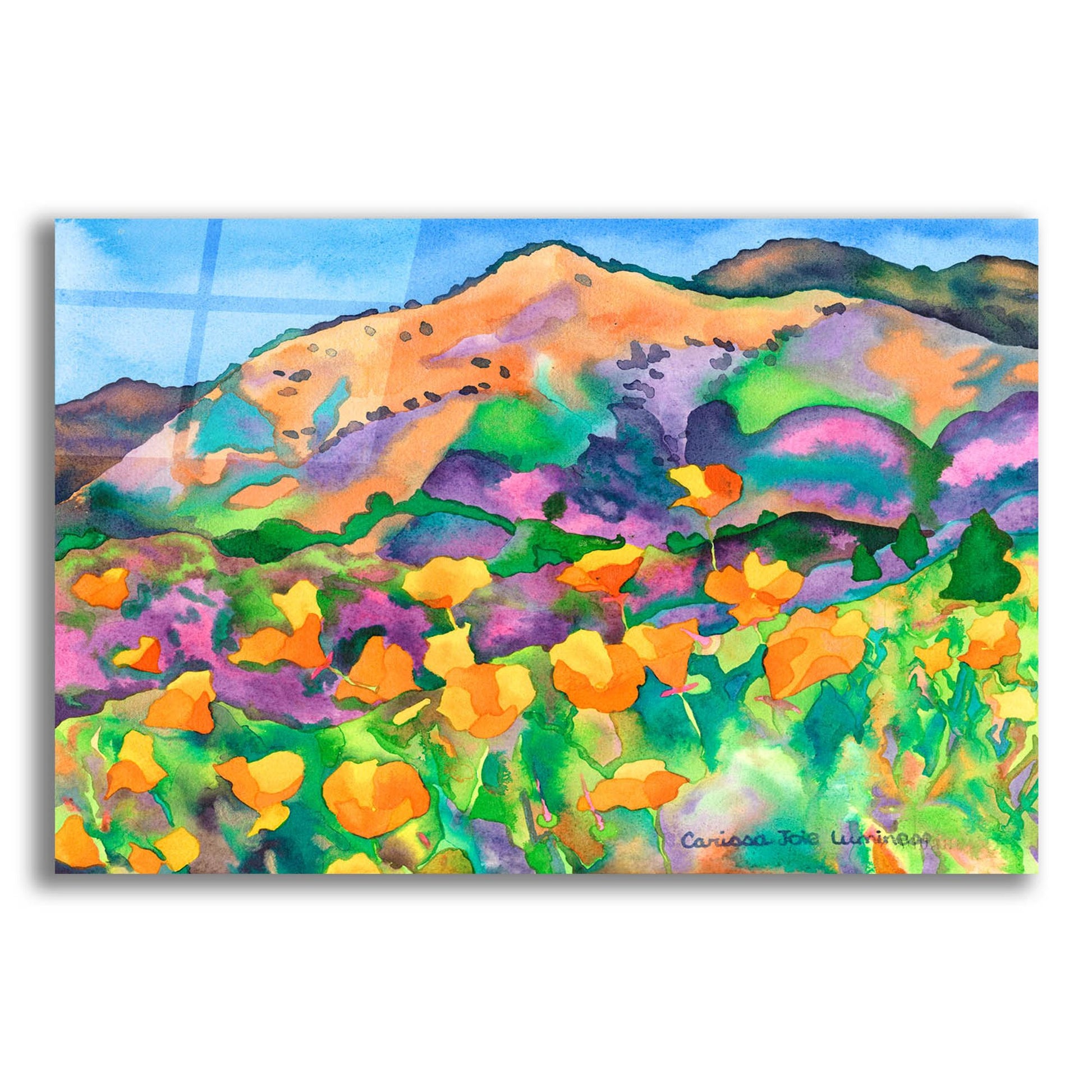 Epic Art 'Poppy Hills' by Carissa Luminess, Acrylic Glass Wall Art,24x16