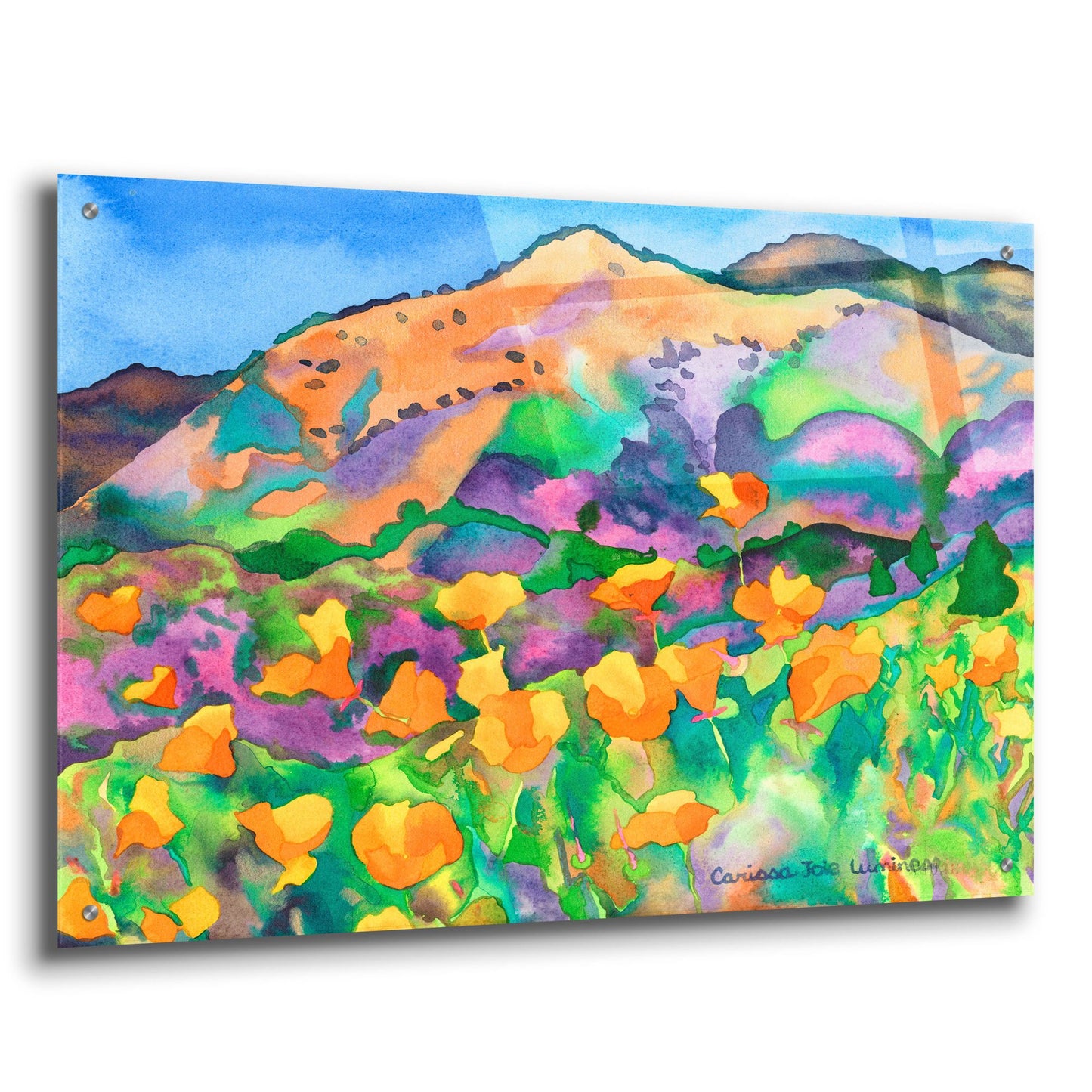 Epic Art 'Poppy Hills' by Carissa Luminess, Acrylic Glass Wall Art,36x24