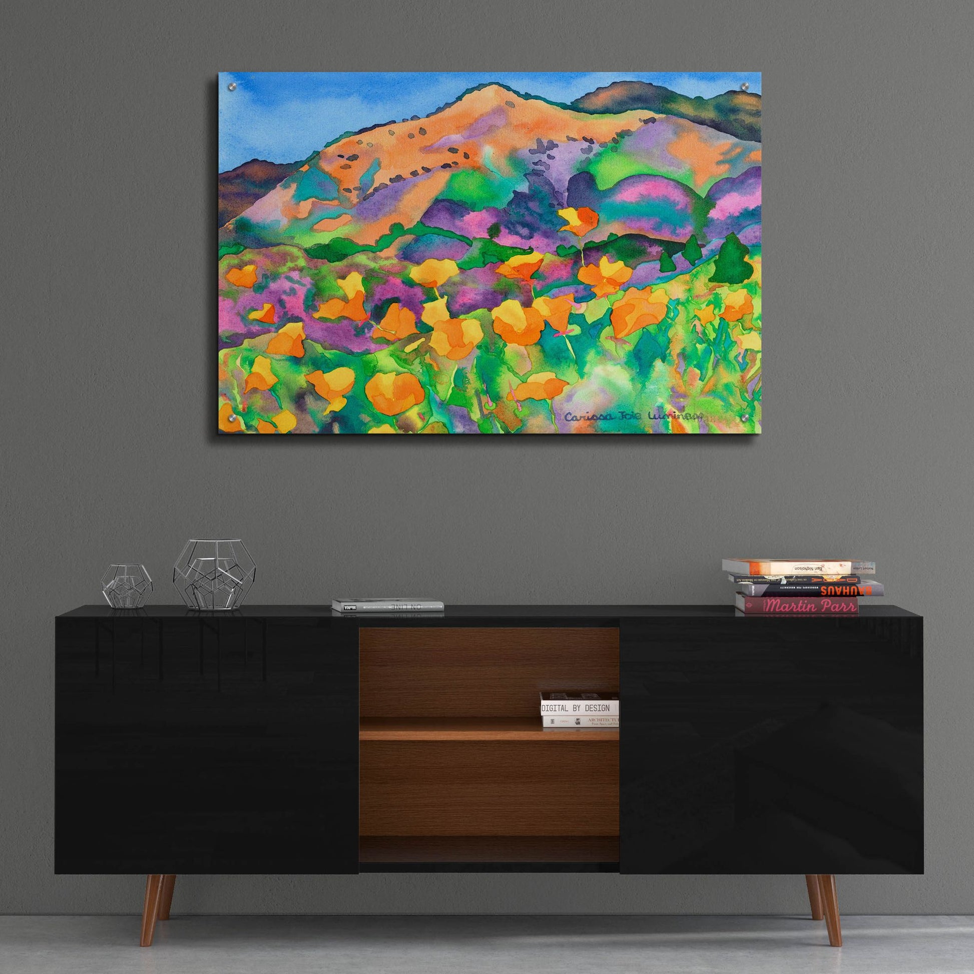 Epic Art 'Poppy Hills' by Carissa Luminess, Acrylic Glass Wall Art,36x24