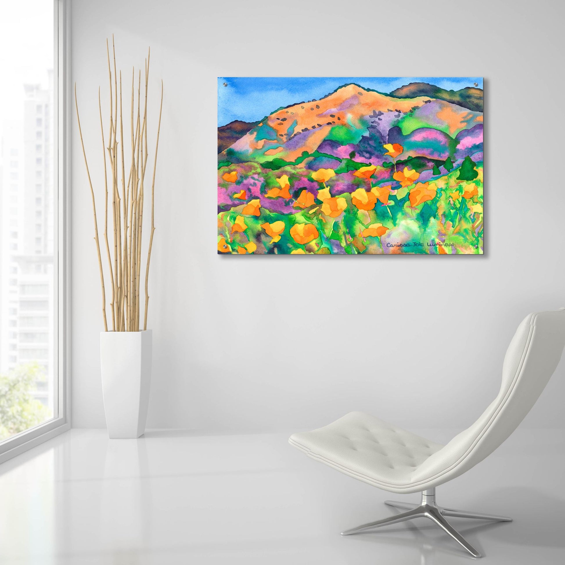 Epic Art 'Poppy Hills' by Carissa Luminess, Acrylic Glass Wall Art,36x24