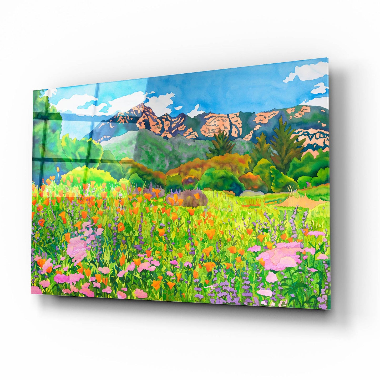 Epic Art 'Santa Barbara Botanic Garden' by Carissa Luminess, Acrylic Glass Wall Art,16x12