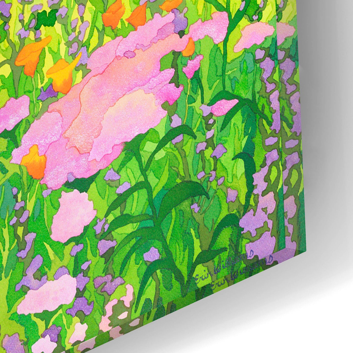 Epic Art 'Santa Barbara Botanic Garden' by Carissa Luminess, Acrylic Glass Wall Art,16x12