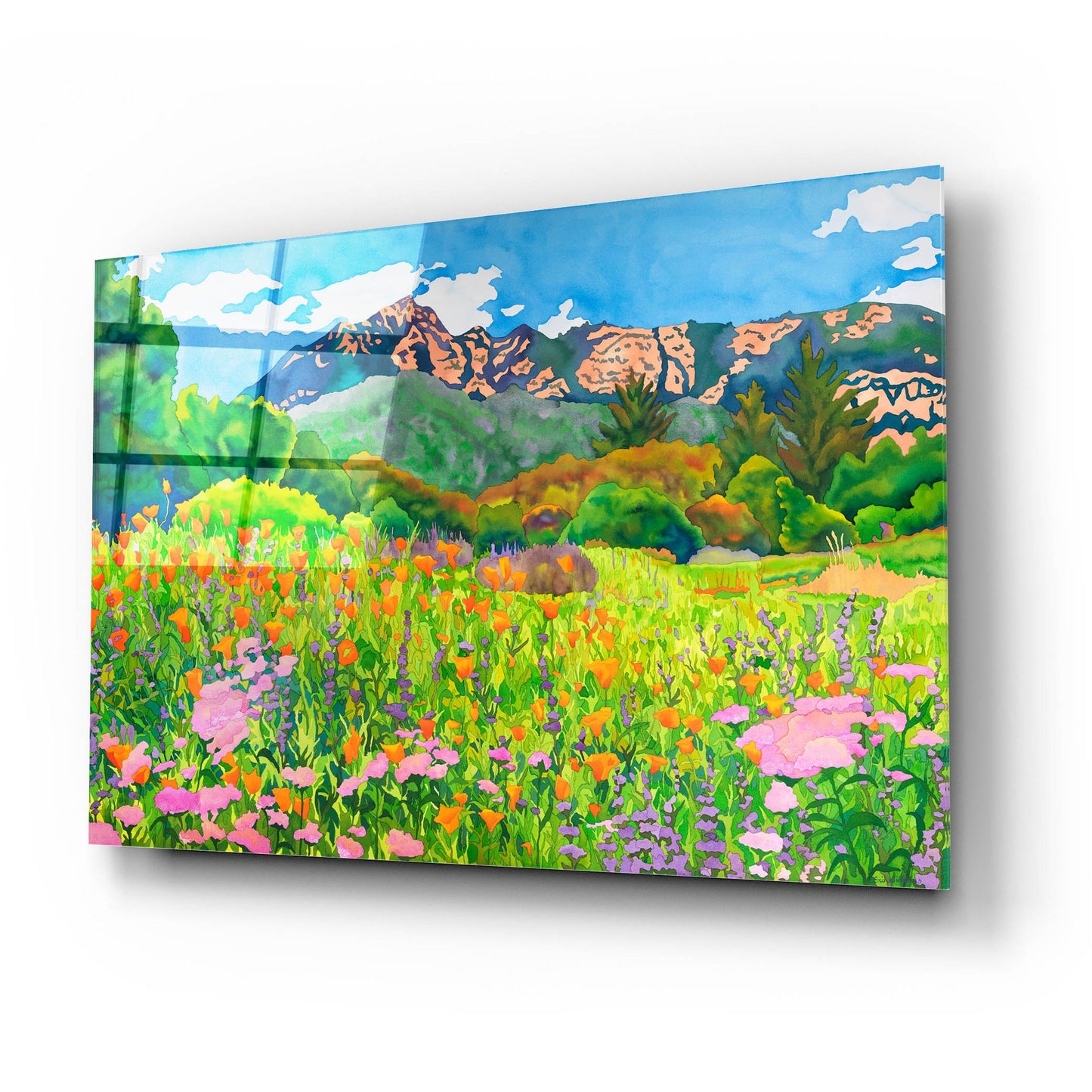 Epic Art 'Santa Barbara Botanic Garden' by Carissa Luminess, Acrylic Glass Wall Art,24x16