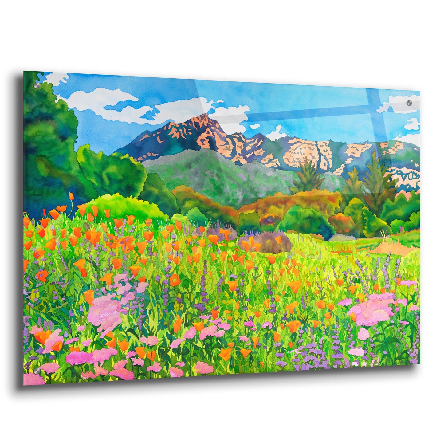 Epic Art 'Santa Barbara Botanic Garden' by Carissa Luminess, Acrylic Glass Wall Art,36x24