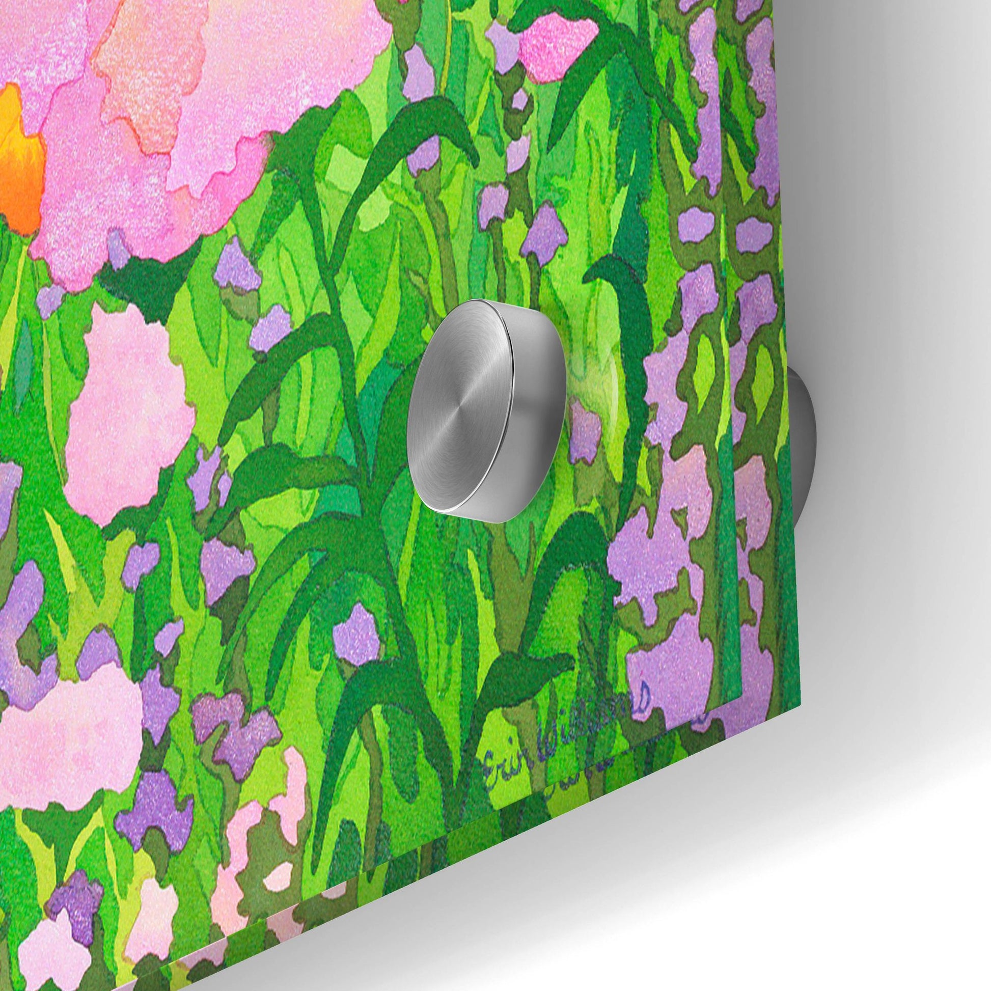 Epic Art 'Santa Barbara Botanic Garden' by Carissa Luminess, Acrylic Glass Wall Art,36x24