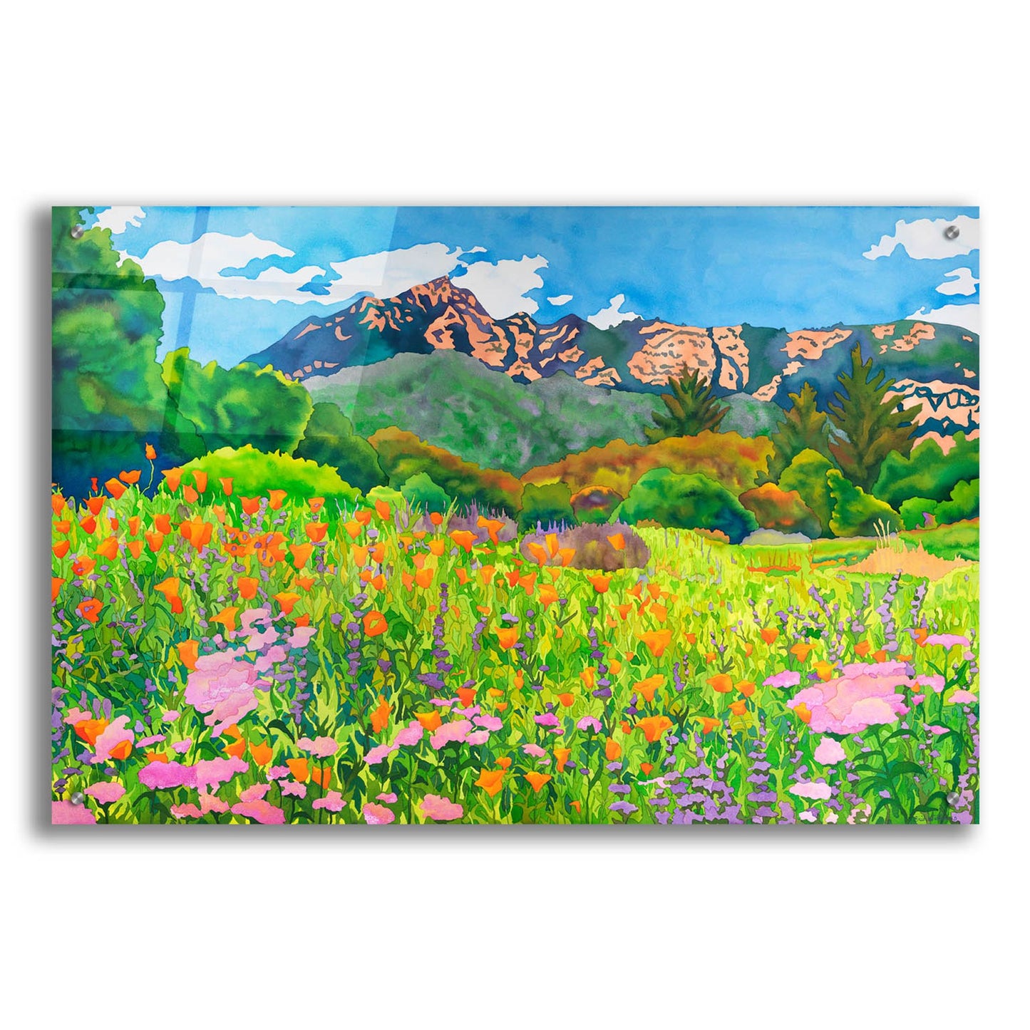 Epic Art 'Santa Barbara Botanic Garden' by Carissa Luminess, Acrylic Glass Wall Art,36x24