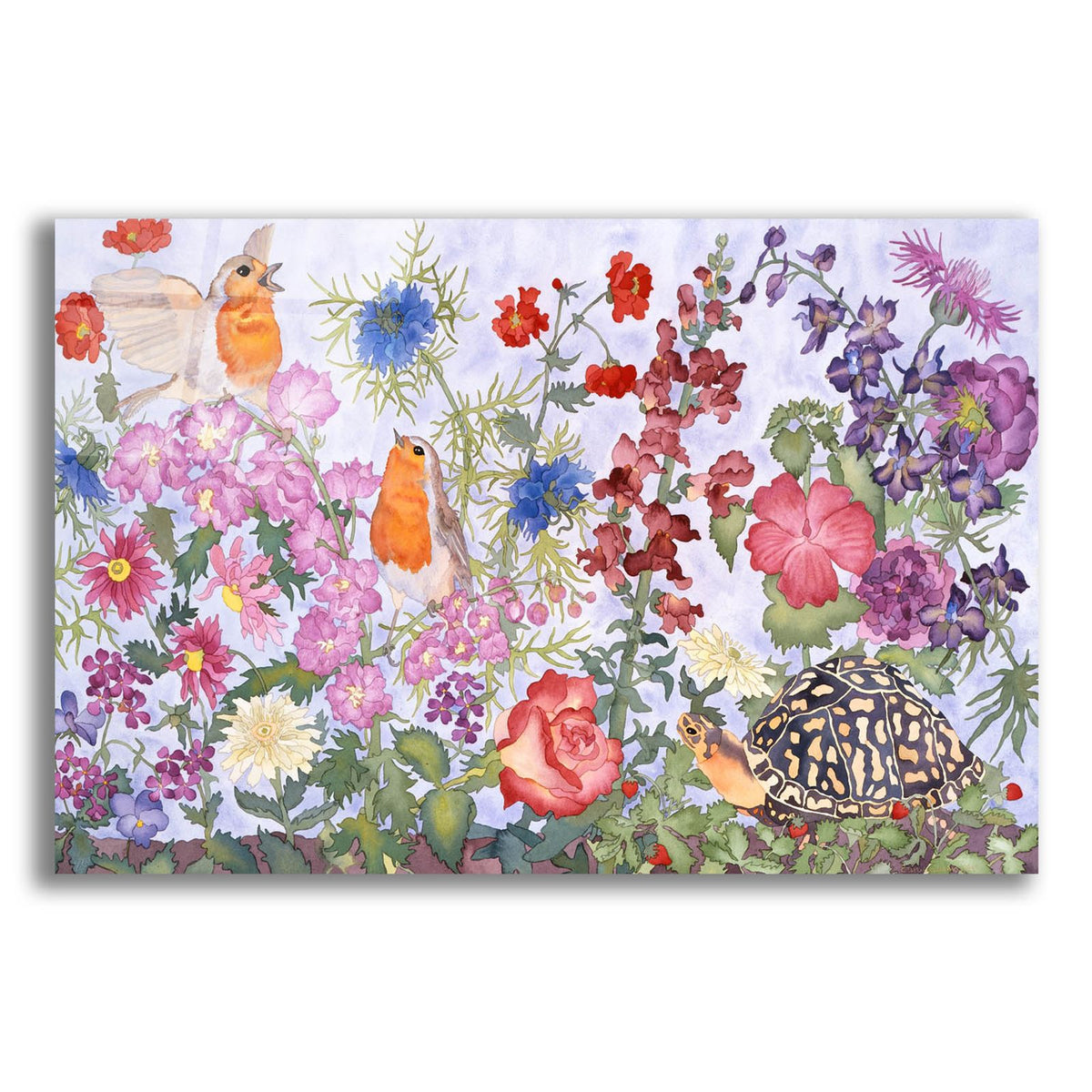 A Turtles Dream by Carissa Luminess acrylic glass wall art