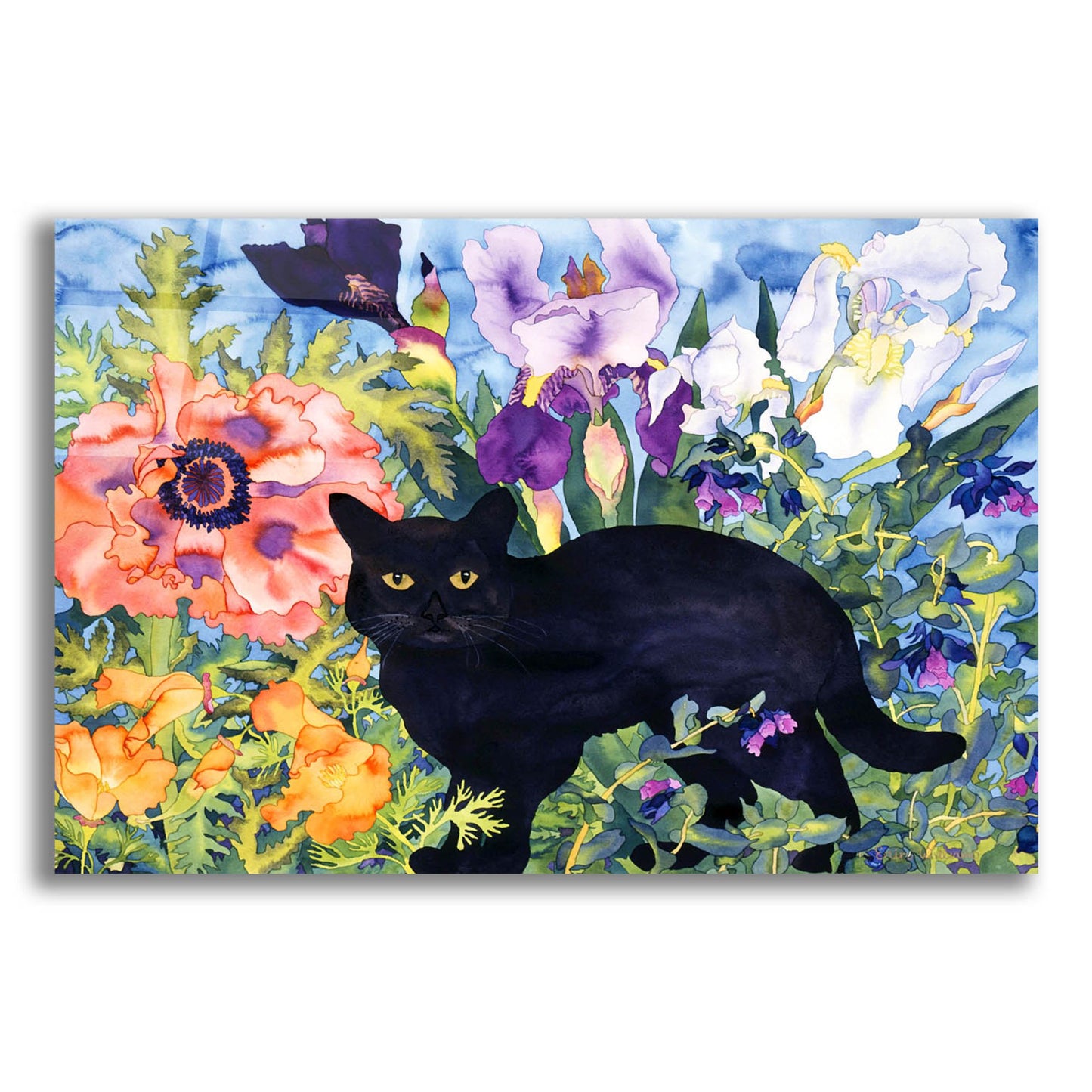 Epic Art 'Black Cat Magic' by Carissa Luminess, Acrylic Glass Wall Art,16x12