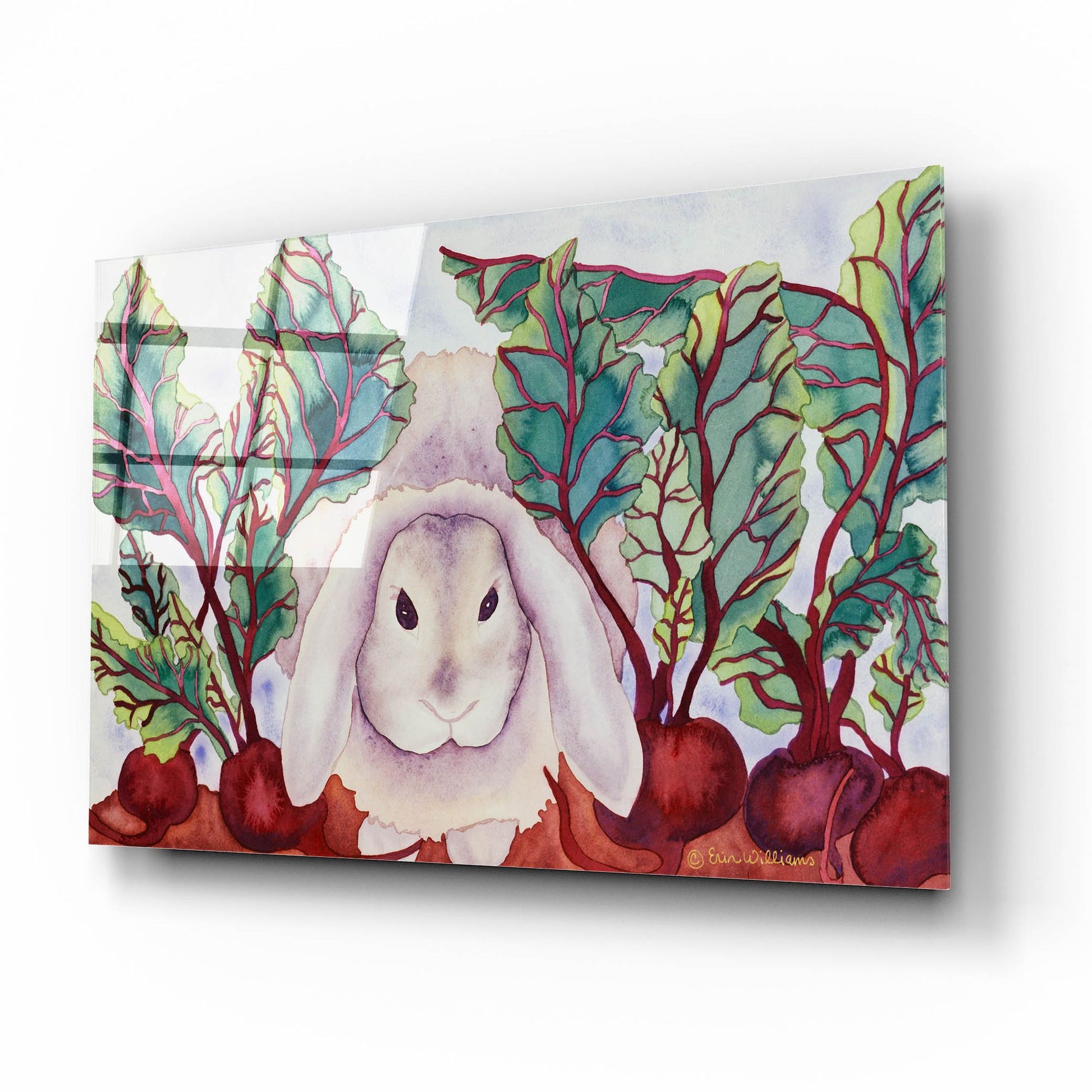 Epic Art 'Bunny with Beets' by Carissa Luminess, Acrylic Glass Wall Art,16x12