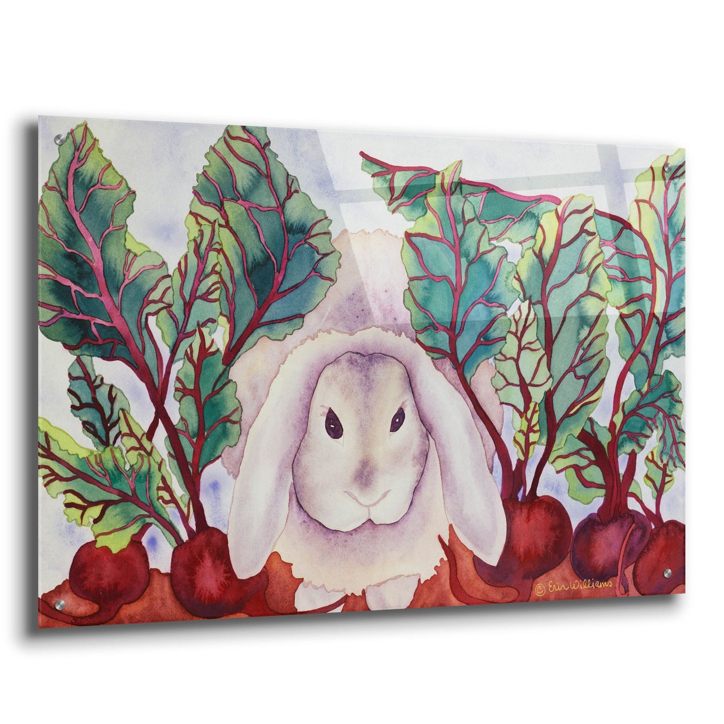 Epic Art 'Bunny with Beets' by Carissa Luminess, Acrylic Glass Wall Art,36x24