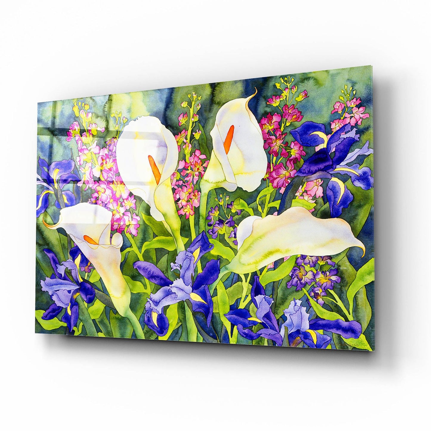 Epic Art 'Callas with Irises' by Carissa Luminess, Acrylic Glass Wall Art,16x12