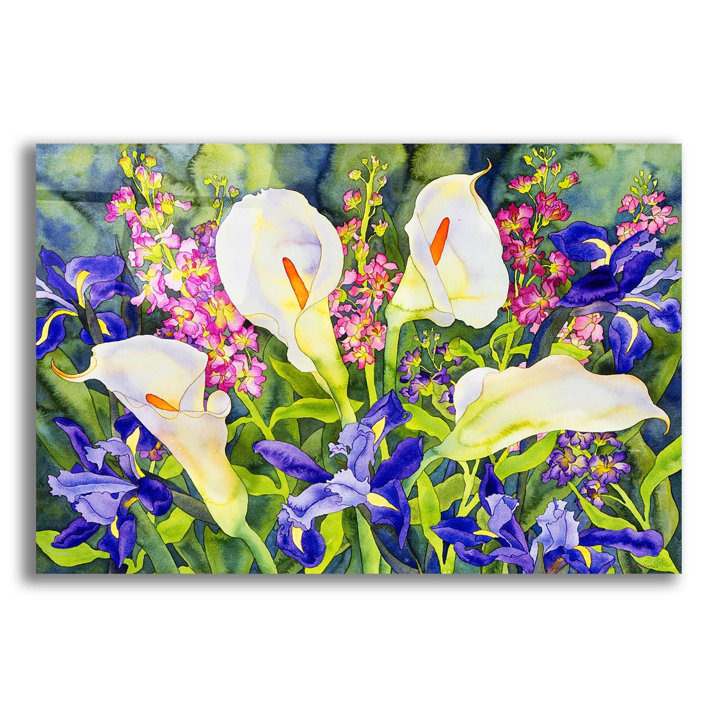 Epic Art 'Callas with Irises' by Carissa Luminess, Acrylic Glass Wall Art,16x12