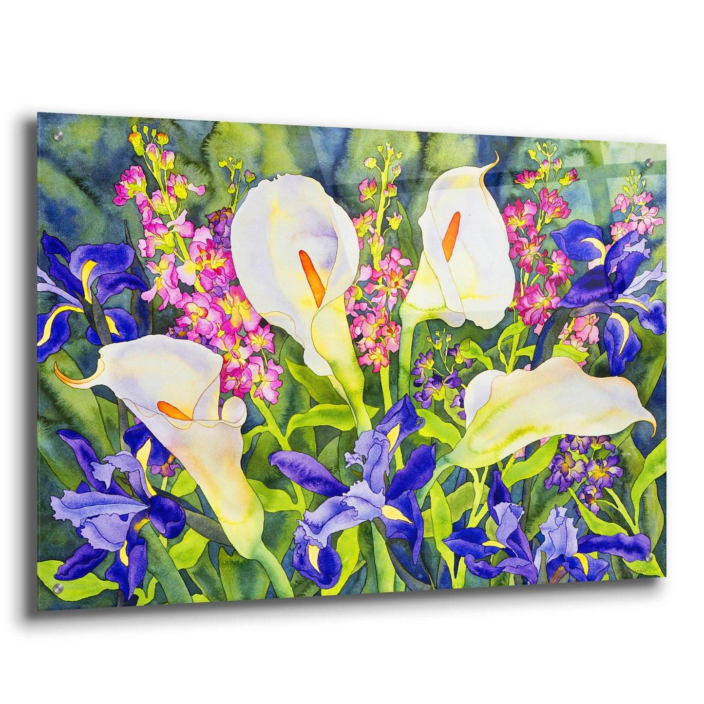 Epic Art 'Callas with Irises' by Carissa Luminess, Acrylic Glass Wall Art,36x24