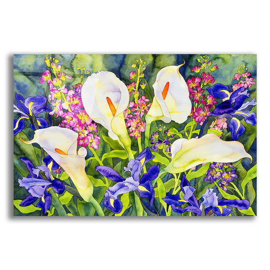 Epic Art 'Callas with Irises' by Carissa Luminess, Acrylic Glass Wall Art