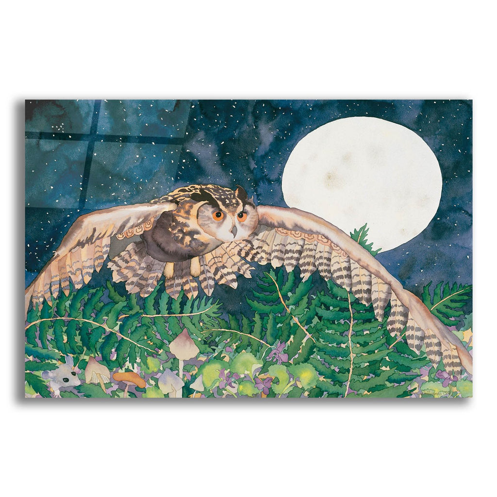 Eagle Owl by Carissa Luminess acrylic glass wall art