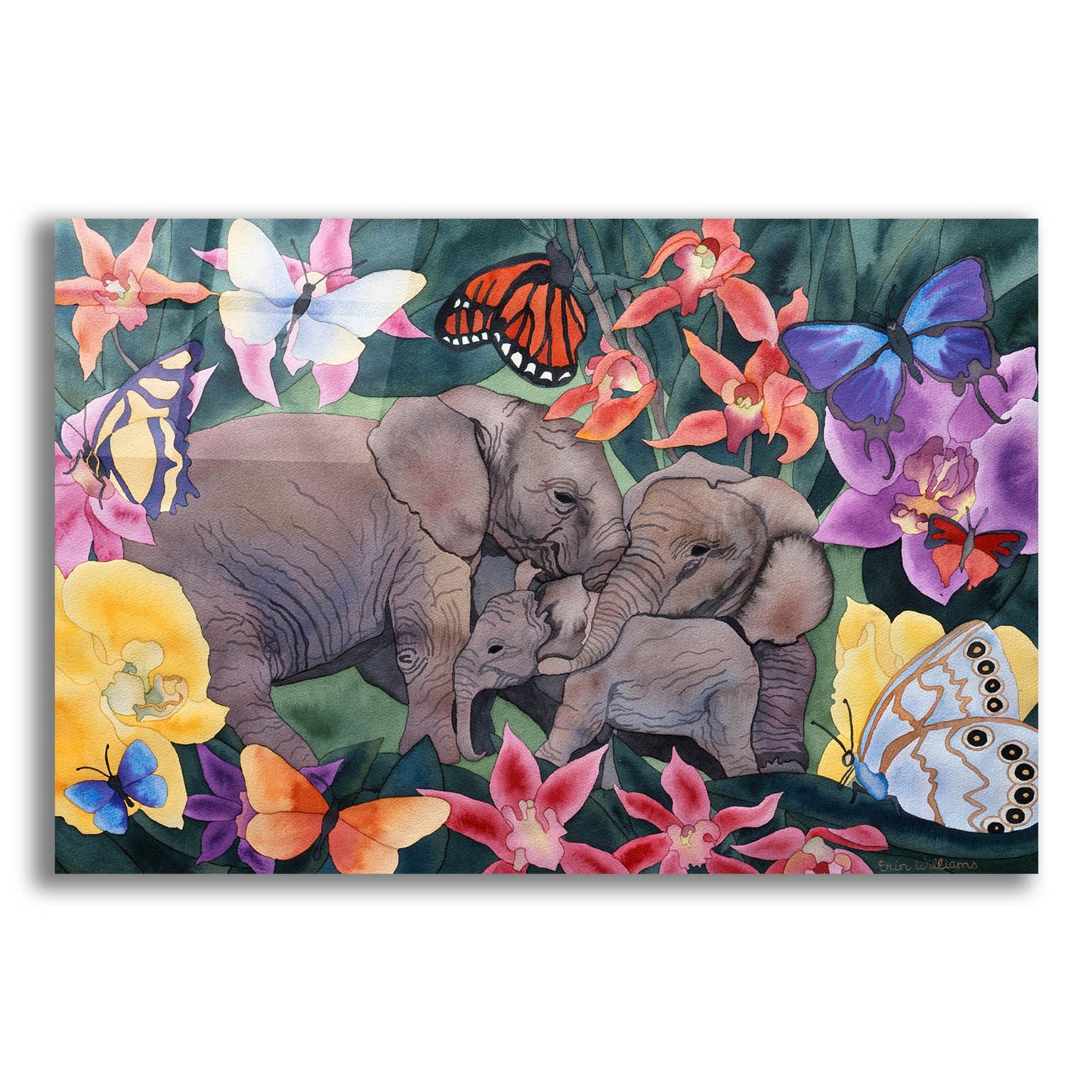 Epic Art 'Elephants and Butterflies' by Carissa Luminess, Acrylic Glass Wall Art,16x12