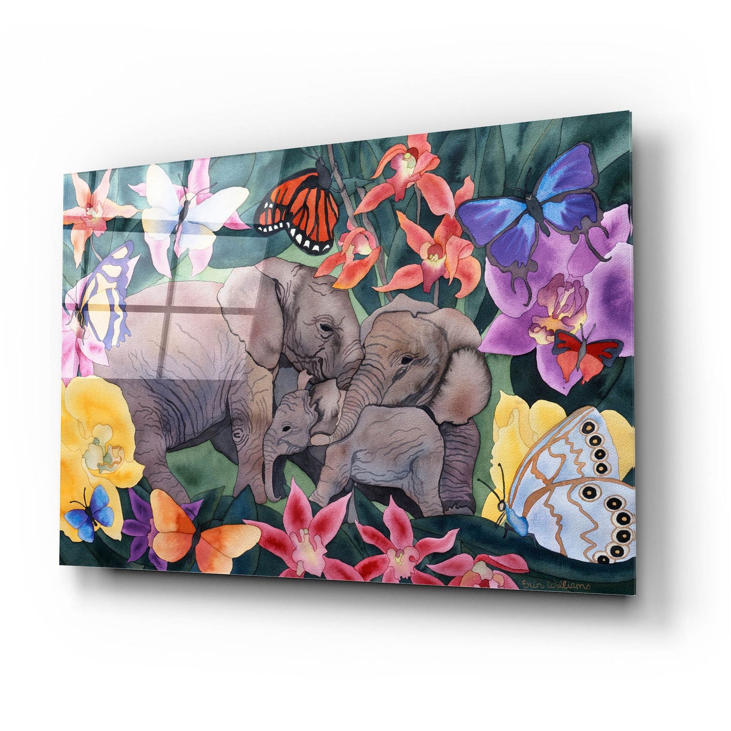 Epic Art 'Elephants and Butterflies' by Carissa Luminess, Acrylic Glass Wall Art,24x16