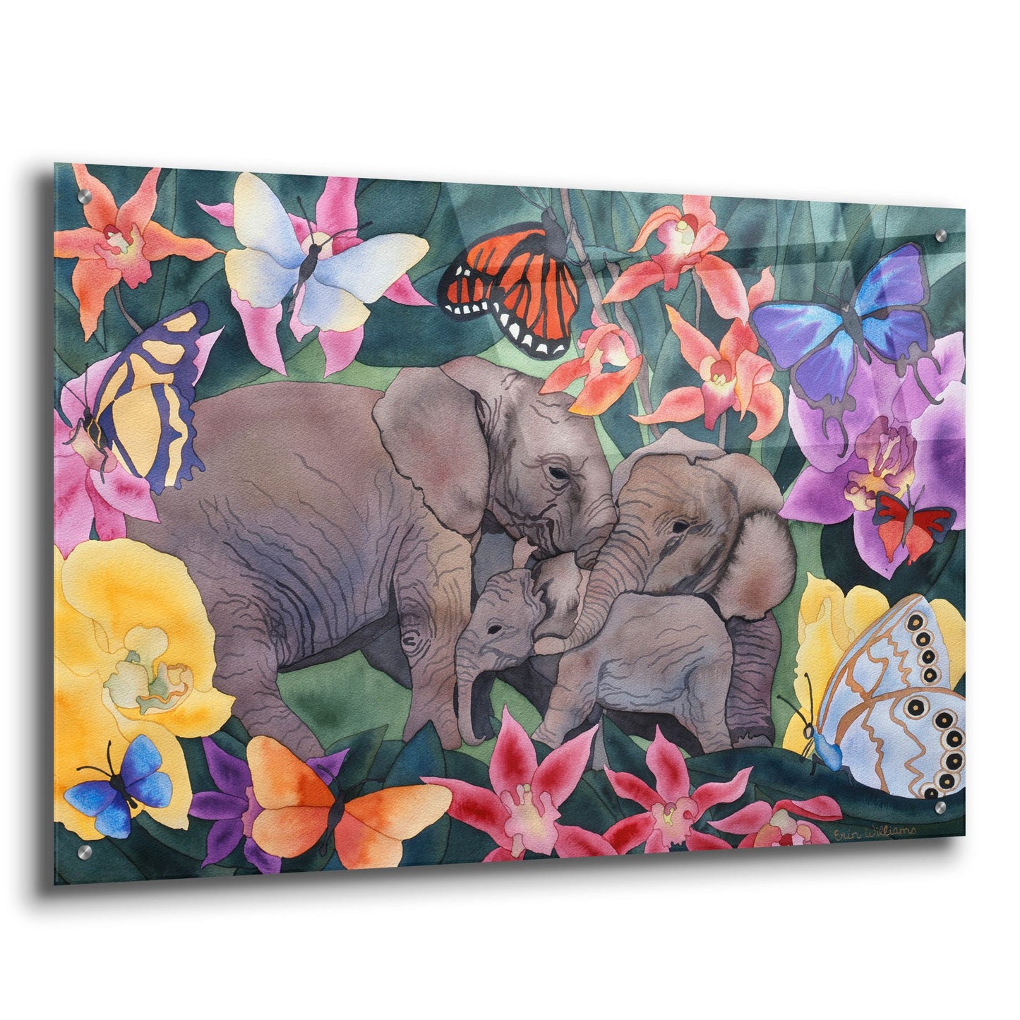 Epic Art 'Elephants and Butterflies' by Carissa Luminess, Acrylic Glass Wall Art,36x24