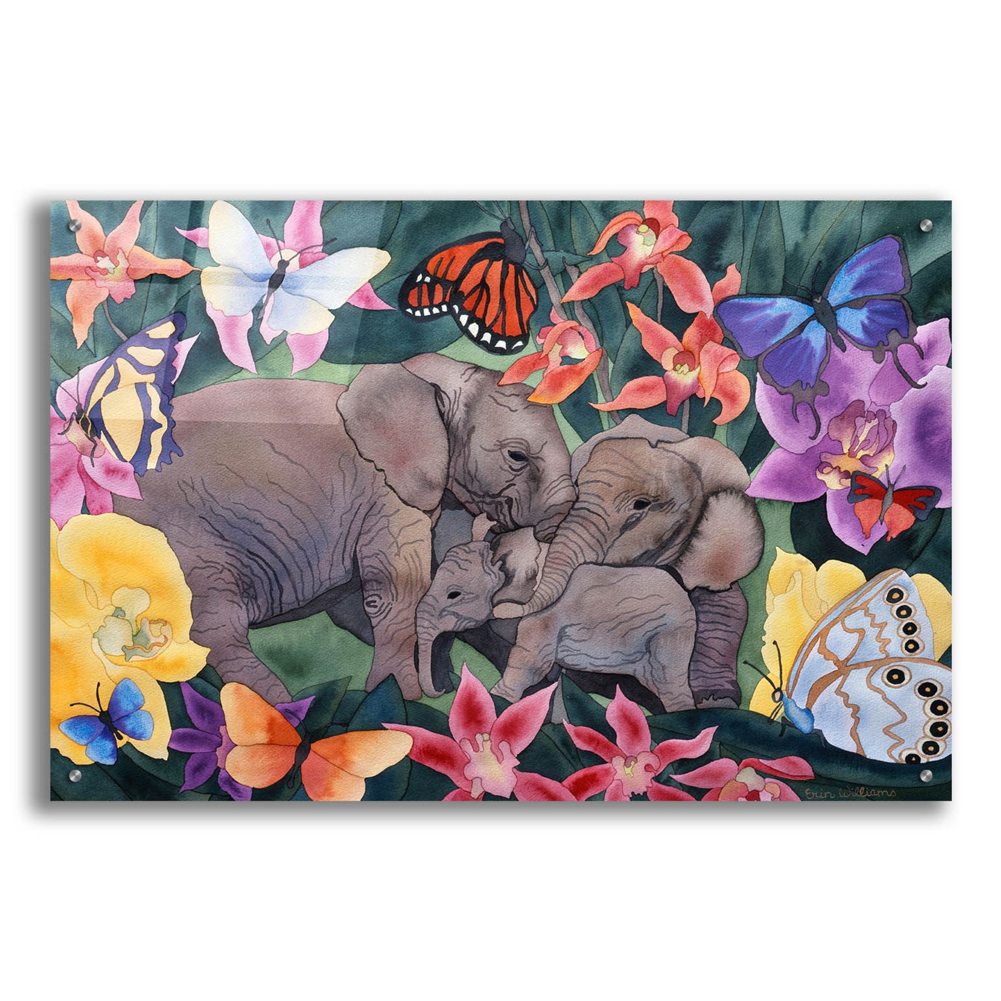 Epic Art 'Elephants and Butterflies' by Carissa Luminess, Acrylic Glass Wall Art,36x24