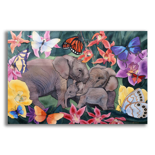 Epic Art 'Elephants and Butterflies' by Carissa Luminess, Acrylic Glass Wall Art