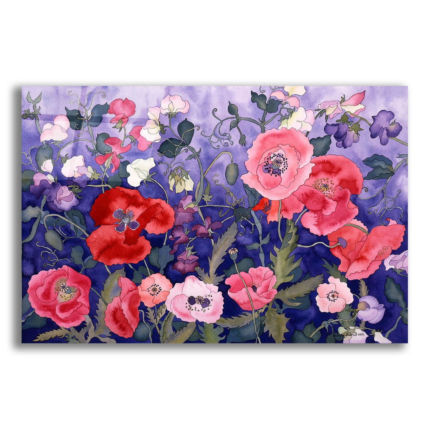 Epic Art 'Poppies and Sweet' by Carissa Luminess, Acrylic Glass Wall Art,16x12