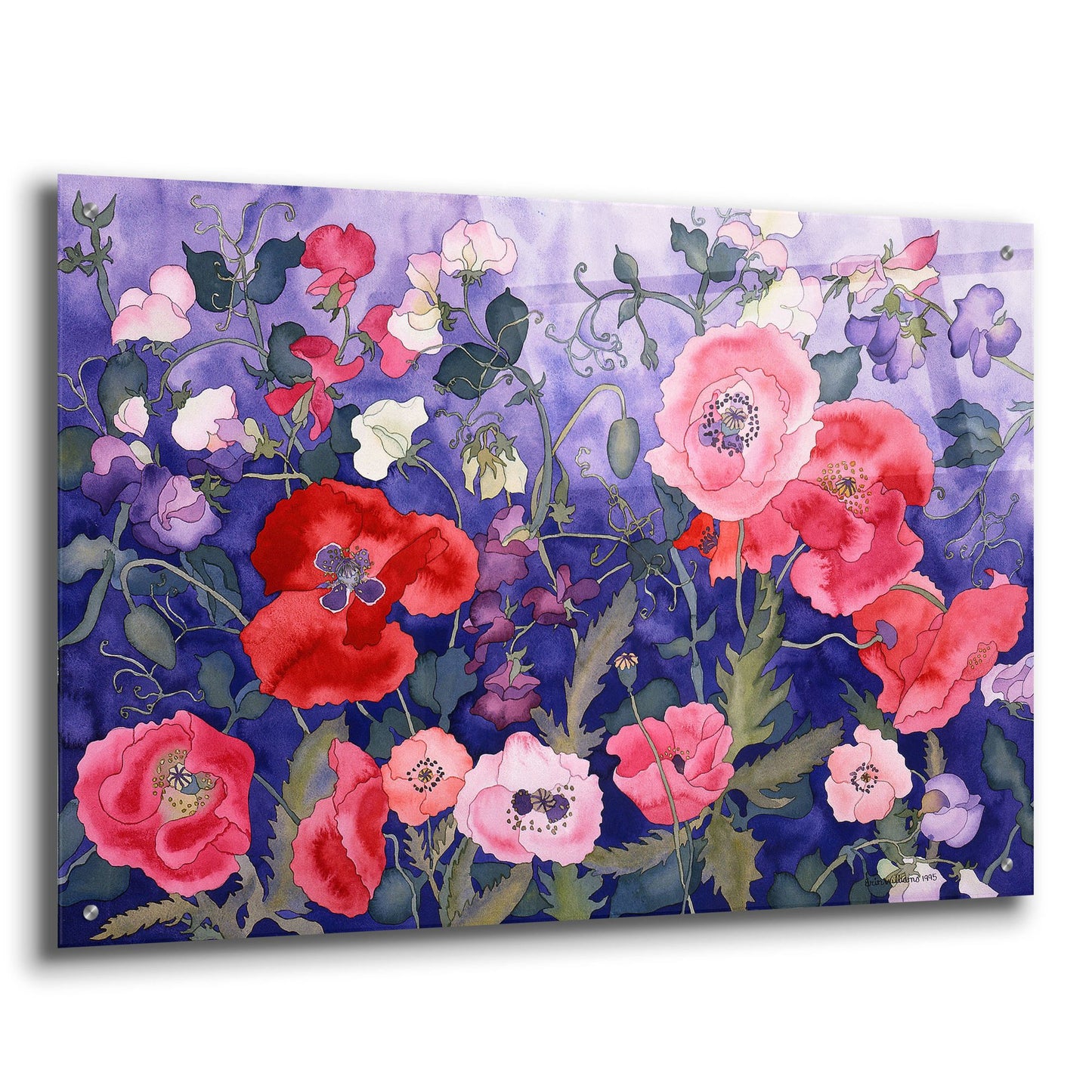 Epic Art 'Poppies and Sweet' by Carissa Luminess, Acrylic Glass Wall Art,36x24